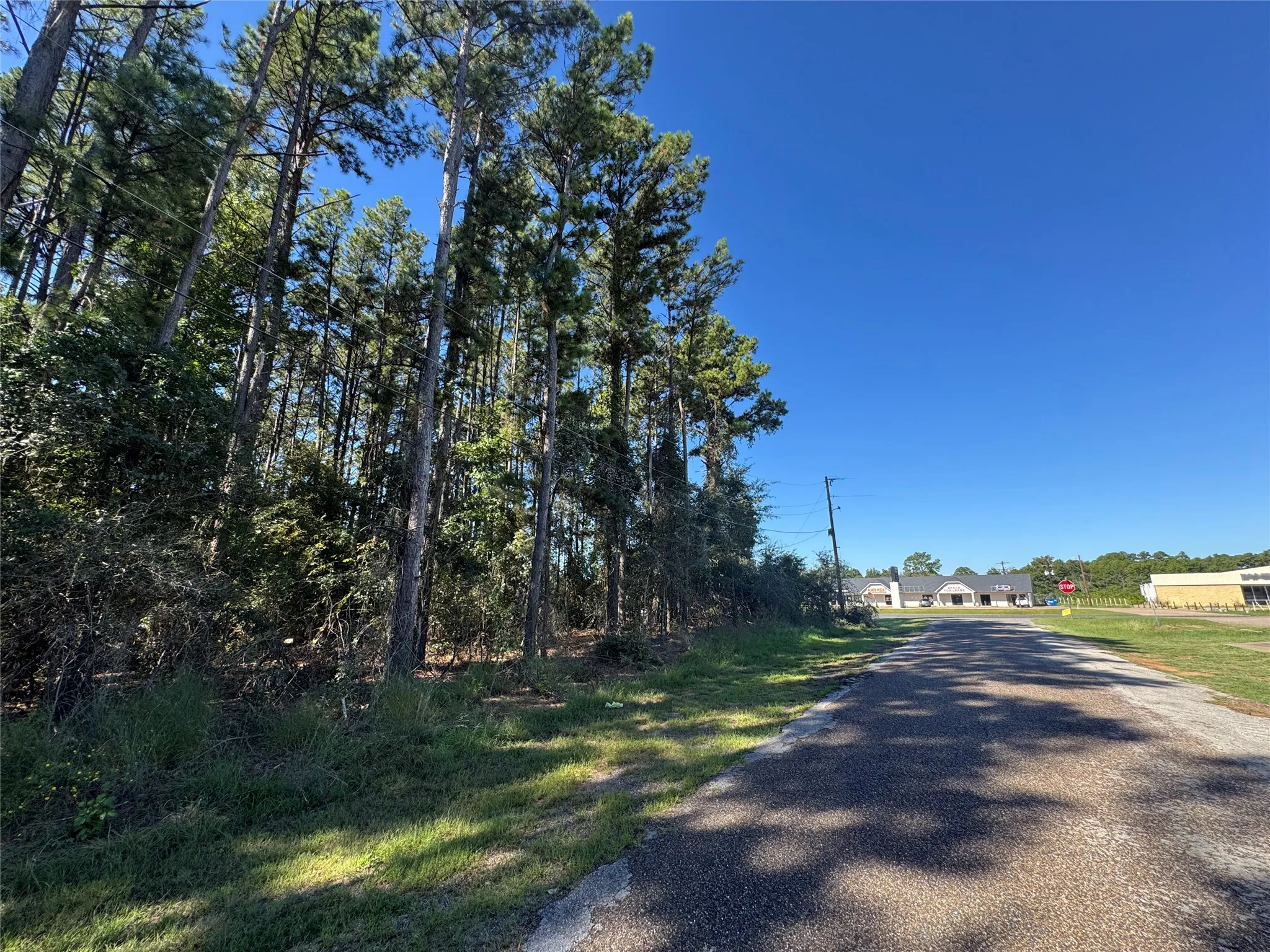 Unimproved Land For Sale in Henderson County , 8289 ST HWY 155, Frankston, Texas 75763, 0, 0, Garage spaces, 0 Sqft, built in 0, mls#21409697, Real Estate Agent in Frankston, Homes For Sale in Henderson county, Homes For Sale in Frankston, Realtor in Frankston Texas, Real Estate Brokerage Independent Realty Texas, Luminita Cordes Realtor