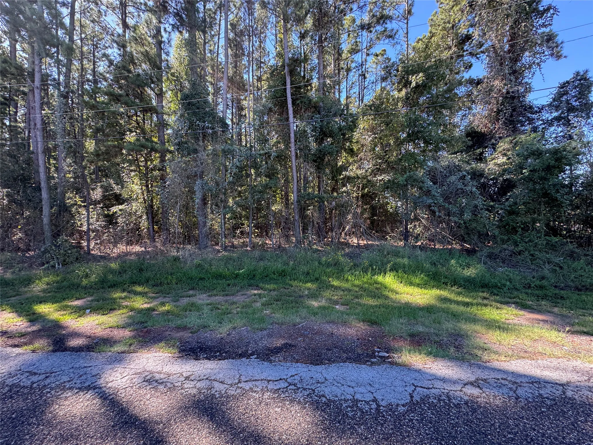 Unimproved Land For Sale in Henderson County , 8289 ST HWY 155, Frankston, Texas 75763, 0, 0, Garage spaces, 0 Sqft, built in 0, mls#21409697, Real Estate Agent in Frankston, Homes For Sale in Henderson county, Homes For Sale in Frankston, Realtor in Frankston Texas, Real Estate Brokerage Independent Realty Texas, Luminita Cordes Realtor