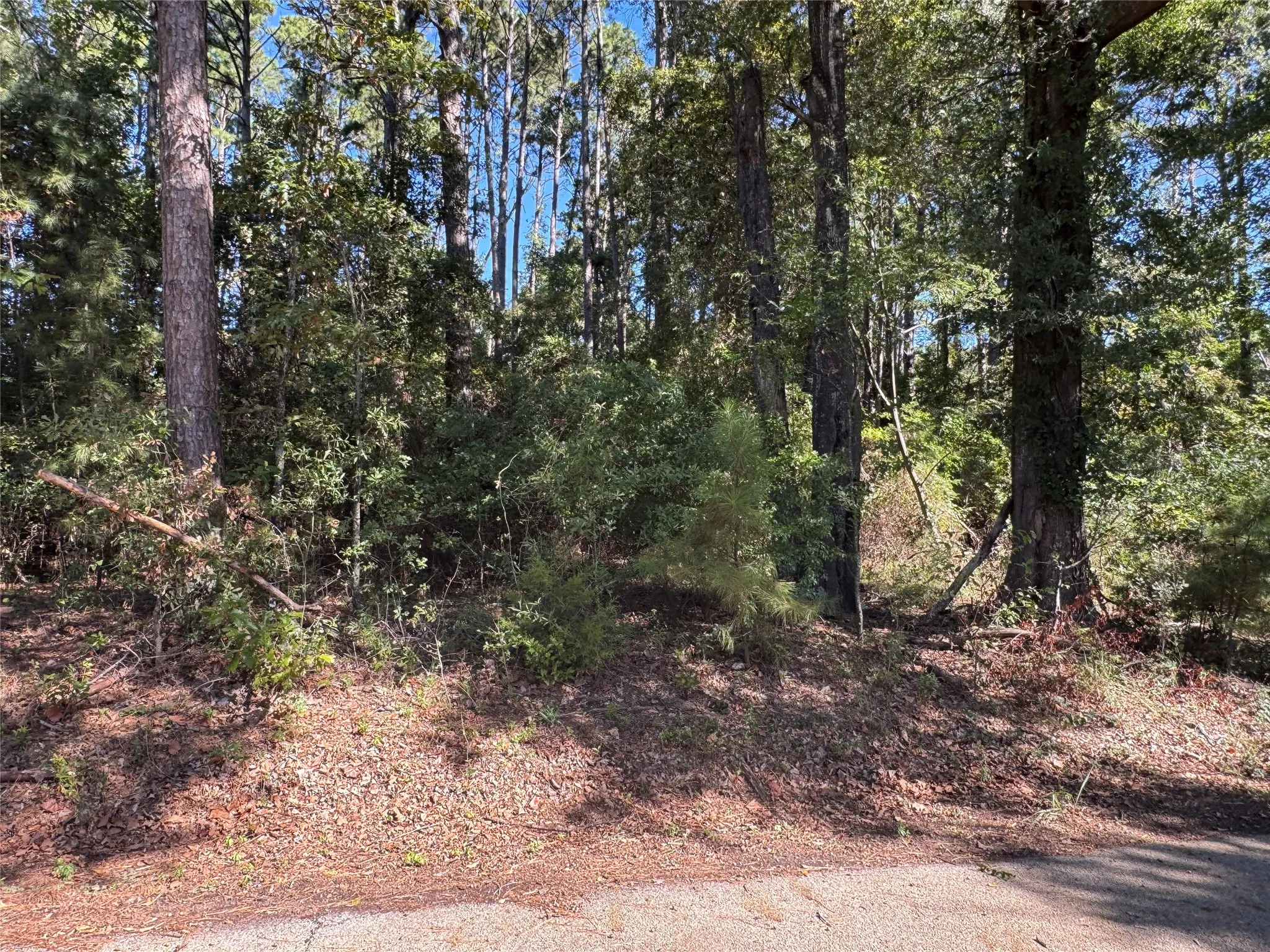 Unimproved Land For Sale in Henderson County , 8289 ST HWY 155, Frankston, Texas 75763, 0, 0, Garage spaces, 0 Sqft, built in 0, mls#21409697, Real Estate Agent in Frankston, Homes For Sale in Henderson county, Homes For Sale in Frankston, Realtor in Frankston Texas, Real Estate Brokerage Independent Realty Texas, Luminita Cordes Realtor
