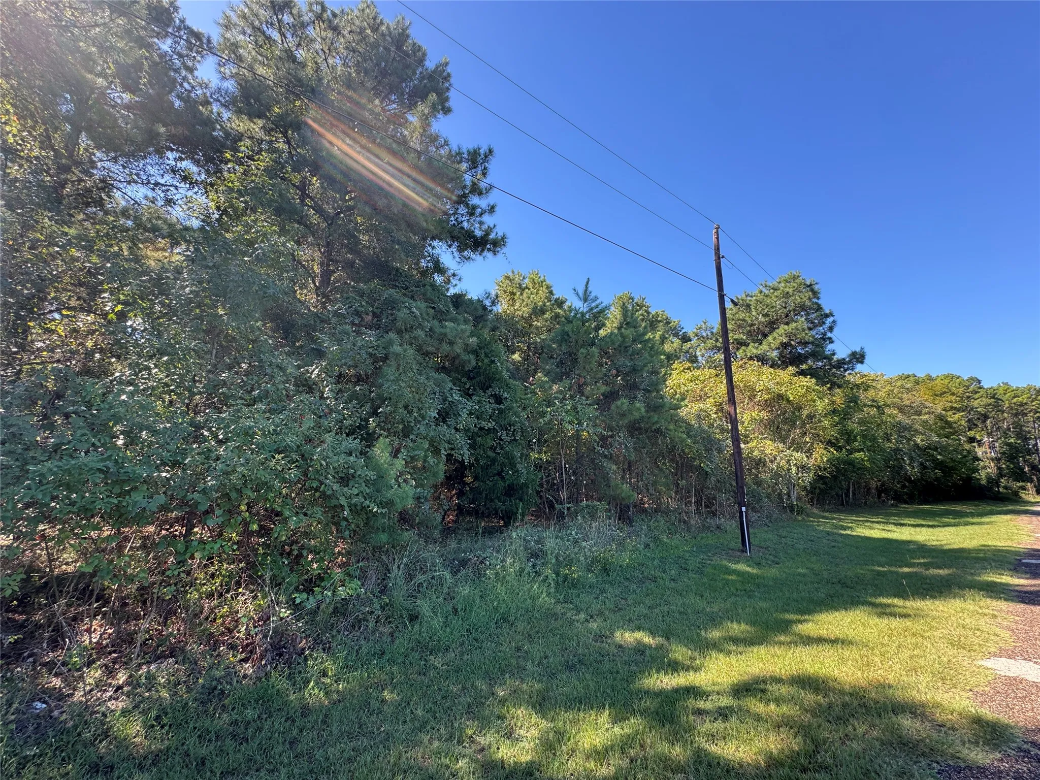 Unimproved Land For Sale in Henderson County , 8289 ST HWY 155, Frankston, Texas 75763, 0, 0, Garage spaces, 0 Sqft, built in 0, mls#21409697, Real Estate Agent in Frankston, Homes For Sale in Henderson county, Homes For Sale in Frankston, Realtor in Frankston Texas, Real Estate Brokerage Independent Realty Texas, Luminita Cordes Realtor