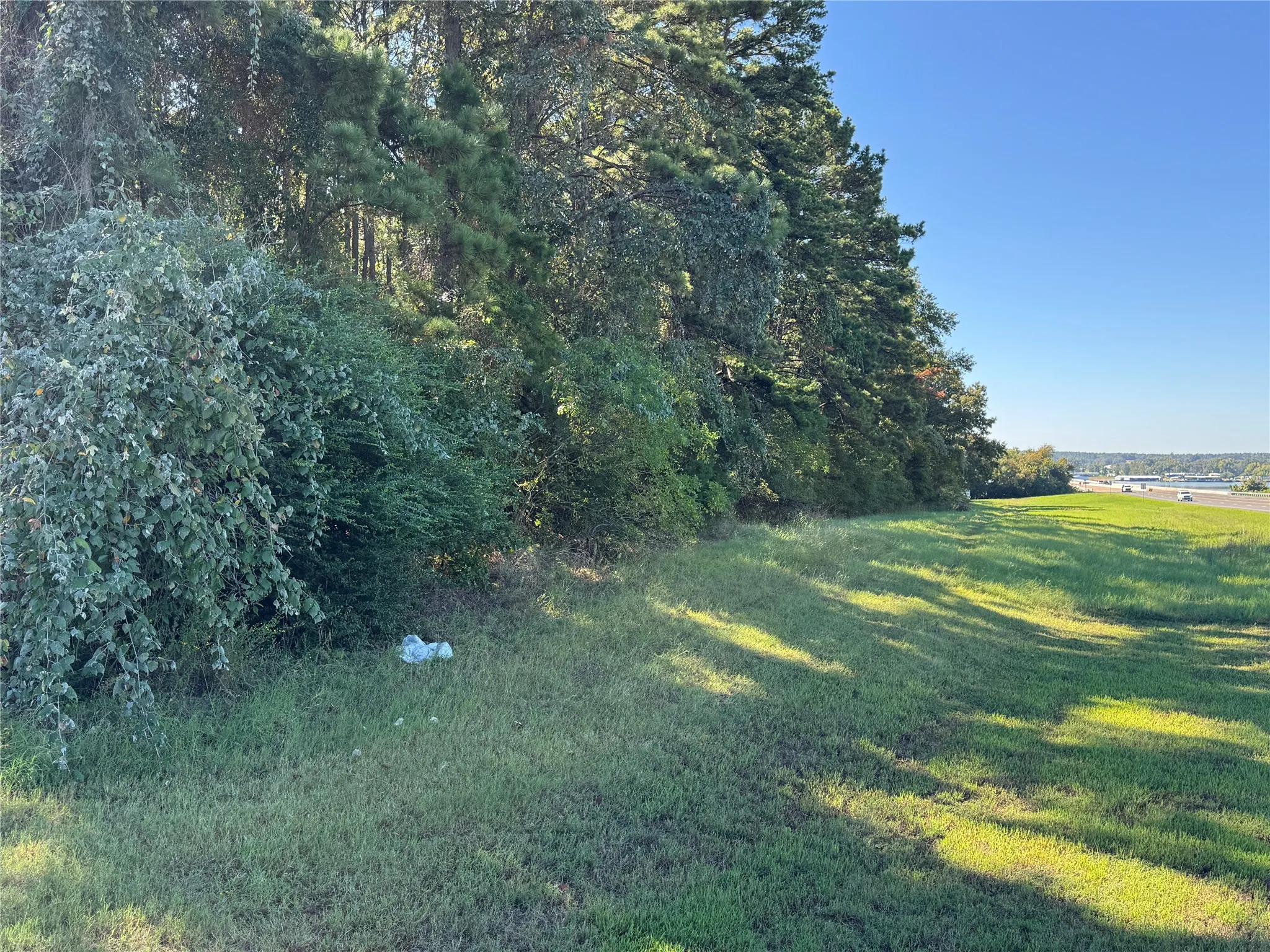 Unimproved Land For Sale in Henderson County , 8289 ST HWY 155, Frankston, Texas 75763, 0, 0, Garage spaces, 0 Sqft, built in 0, mls#21409697, Real Estate Agent in Frankston, Homes For Sale in Henderson county, Homes For Sale in Frankston, Realtor in Frankston Texas, Real Estate Brokerage Independent Realty Texas, Luminita Cordes Realtor