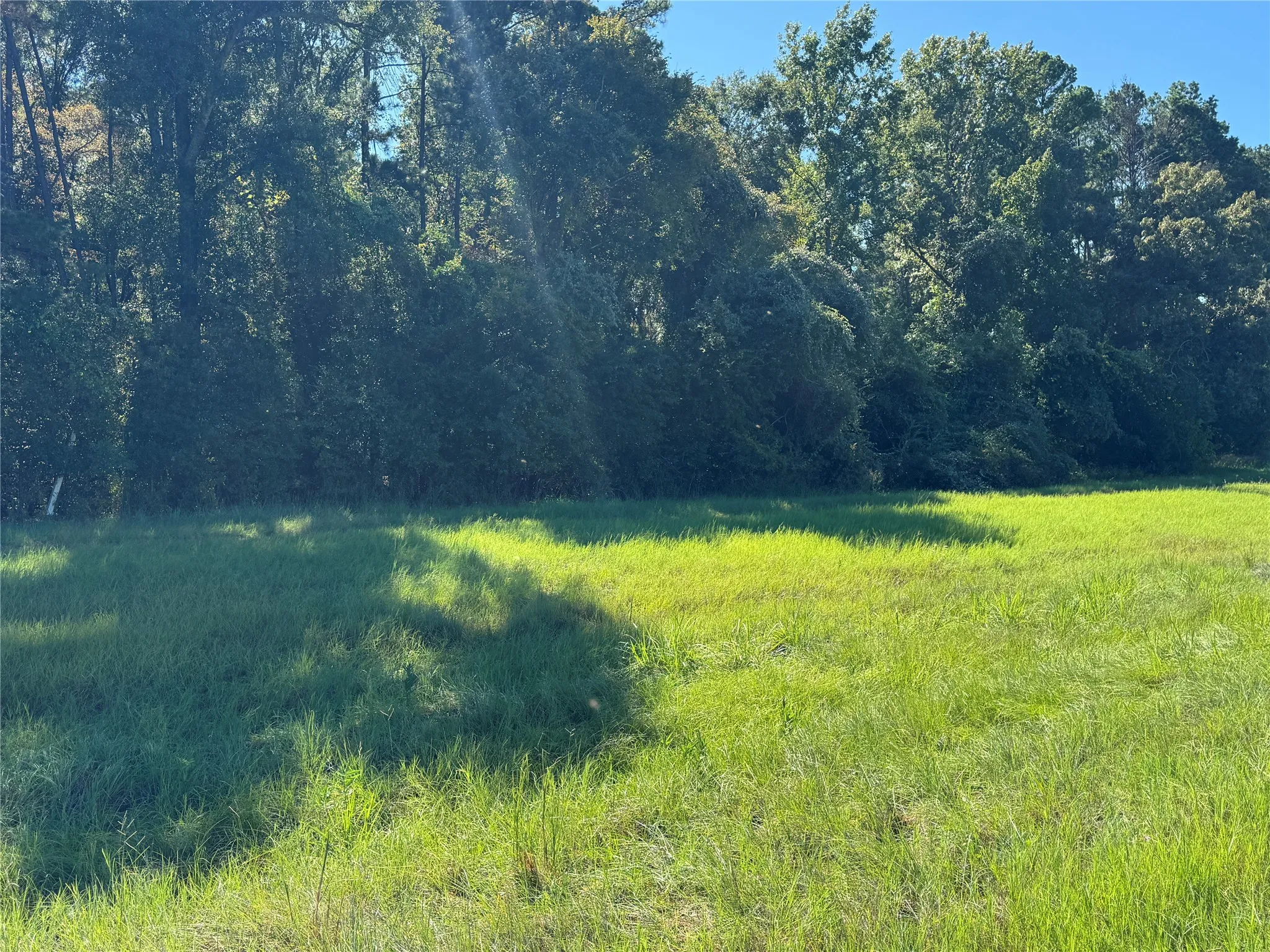 Unimproved Land For Sale in Henderson County , 8289 ST HWY 155, Frankston, Texas 75763, 0, 0, Garage spaces, 0 Sqft, built in 0, mls#21409697, Real Estate Agent in Frankston, Homes For Sale in Henderson county, Homes For Sale in Frankston, Realtor in Frankston Texas, Real Estate Brokerage Independent Realty Texas, Luminita Cordes Realtor