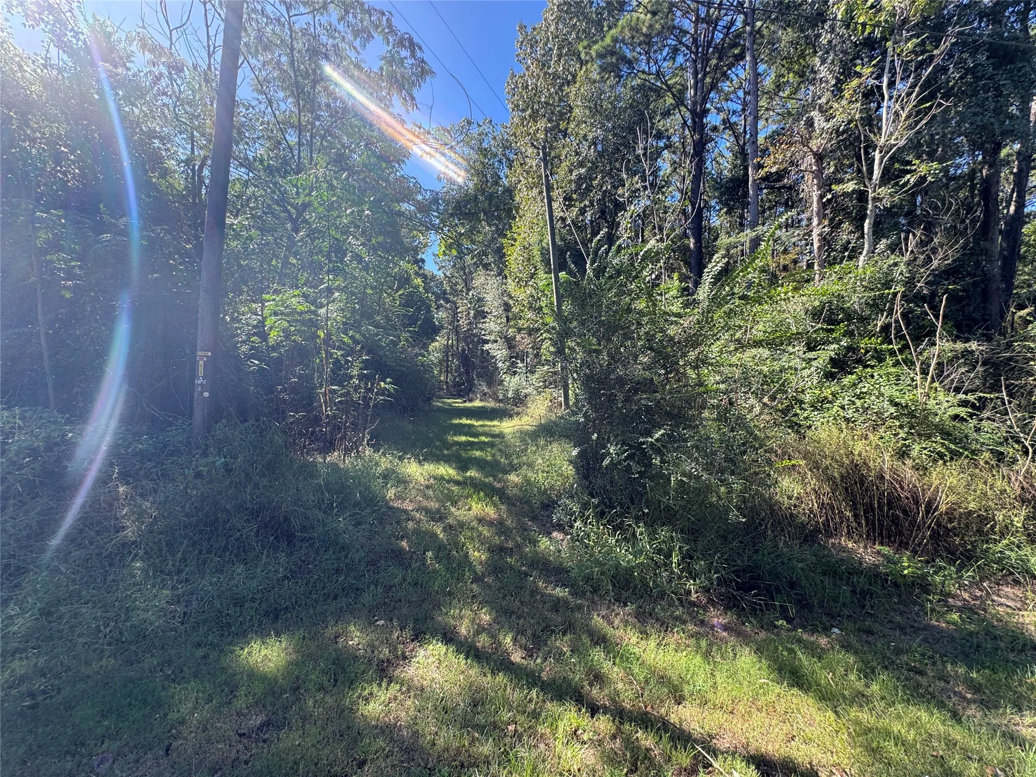 Unimproved Land For Sale in Henderson County , 8289 ST HWY 155, Frankston, Texas 75763, 0, 0, Garage spaces, 0 Sqft, built in 0, mls#21409697, Real Estate Agent in Frankston, Homes For Sale in Henderson county, Homes For Sale in Frankston, Realtor in Frankston Texas, Real Estate Brokerage Independent Realty Texas, Luminita Cordes Realtor