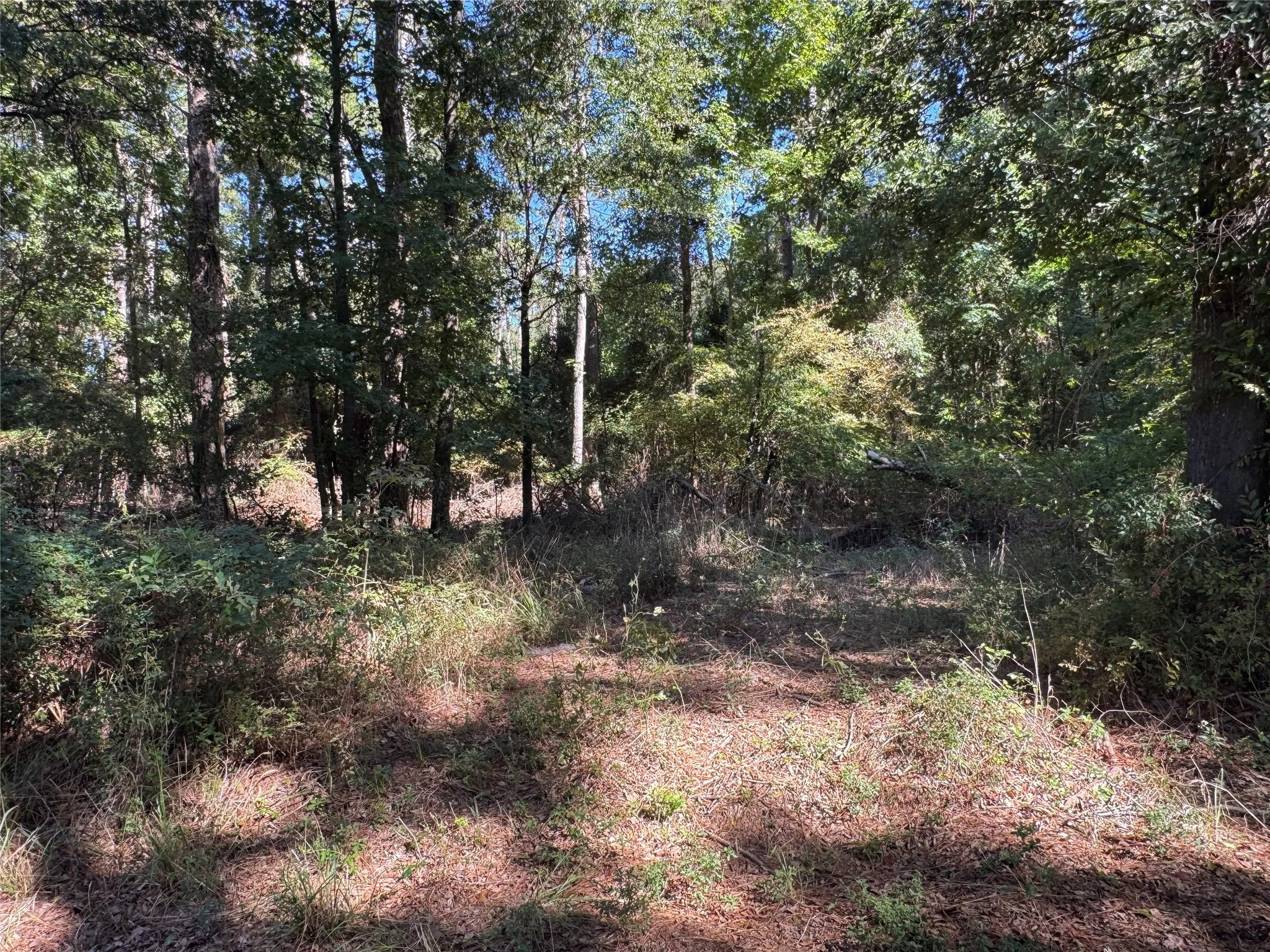 Unimproved Land For Sale in Henderson County , 8289 ST HWY 155, Frankston, Texas 75763, 0, 0, Garage spaces, 0 Sqft, built in 0, mls#21409697, Real Estate Agent in Frankston, Homes For Sale in Henderson county, Homes For Sale in Frankston, Realtor in Frankston Texas, Real Estate Brokerage Independent Realty Texas, Luminita Cordes Realtor