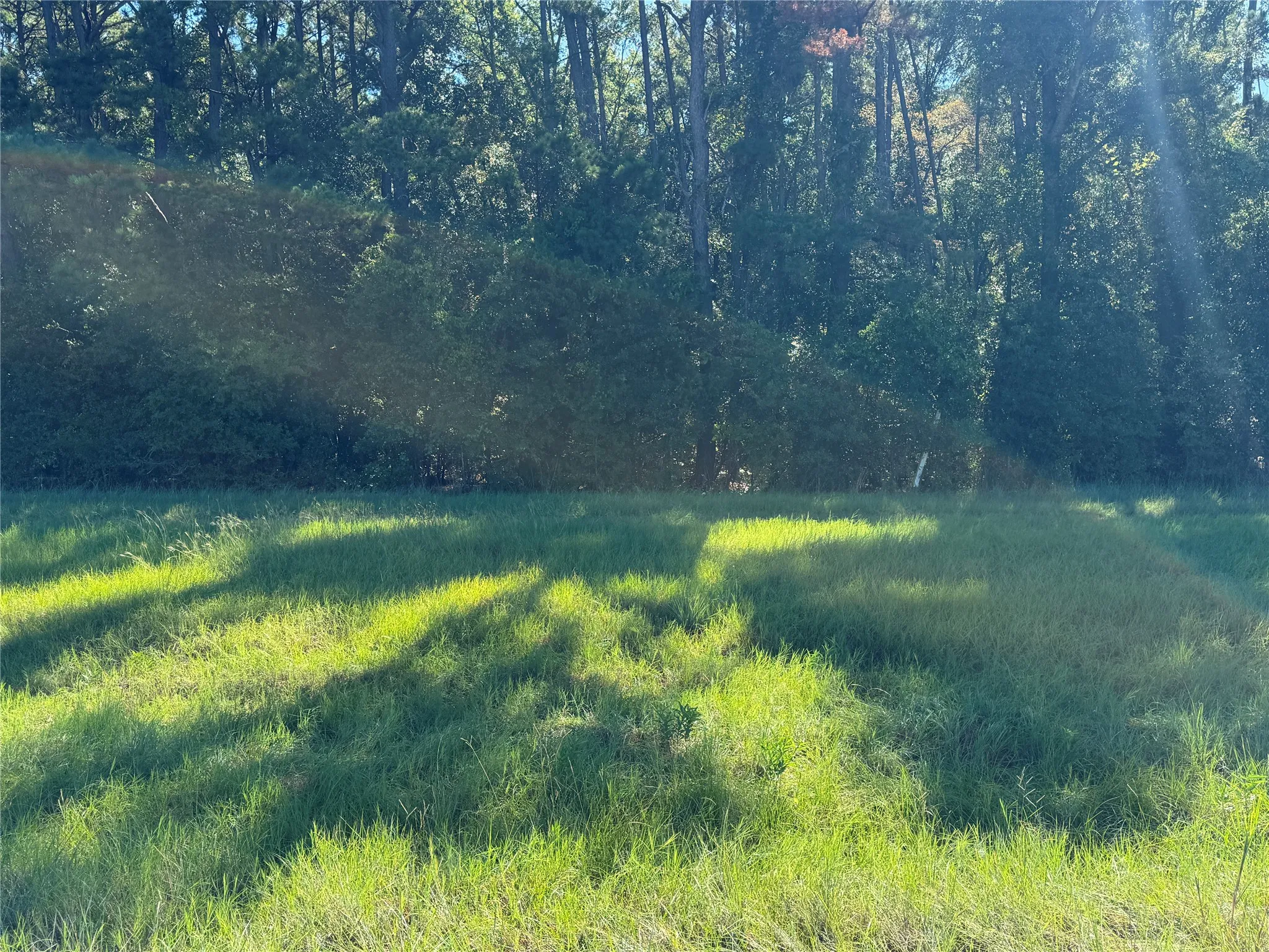Unimproved Land For Sale in Henderson County , 8289 ST HWY 155, Frankston, Texas 75763, 0, 0, Garage spaces, 0 Sqft, built in 0, mls#21409697, Real Estate Agent in Frankston, Homes For Sale in Henderson county, Homes For Sale in Frankston, Realtor in Frankston Texas, Real Estate Brokerage Independent Realty Texas, Luminita Cordes Realtor