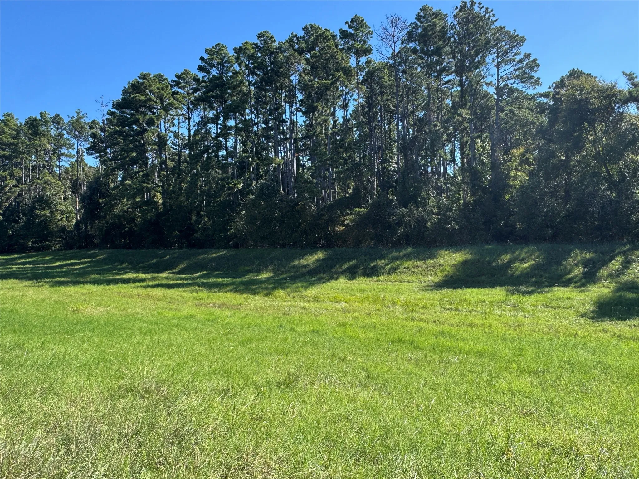 Unimproved Land For Sale in Henderson County , 8289 ST HWY 155, Frankston, Texas 75763, 0, 0, Garage spaces, 0 Sqft, built in 0, mls#21409697, Real Estate Agent in Frankston, Homes For Sale in Henderson county, Homes For Sale in Frankston, Realtor in Frankston Texas, Real Estate Brokerage Independent Realty Texas, Luminita Cordes Realtor