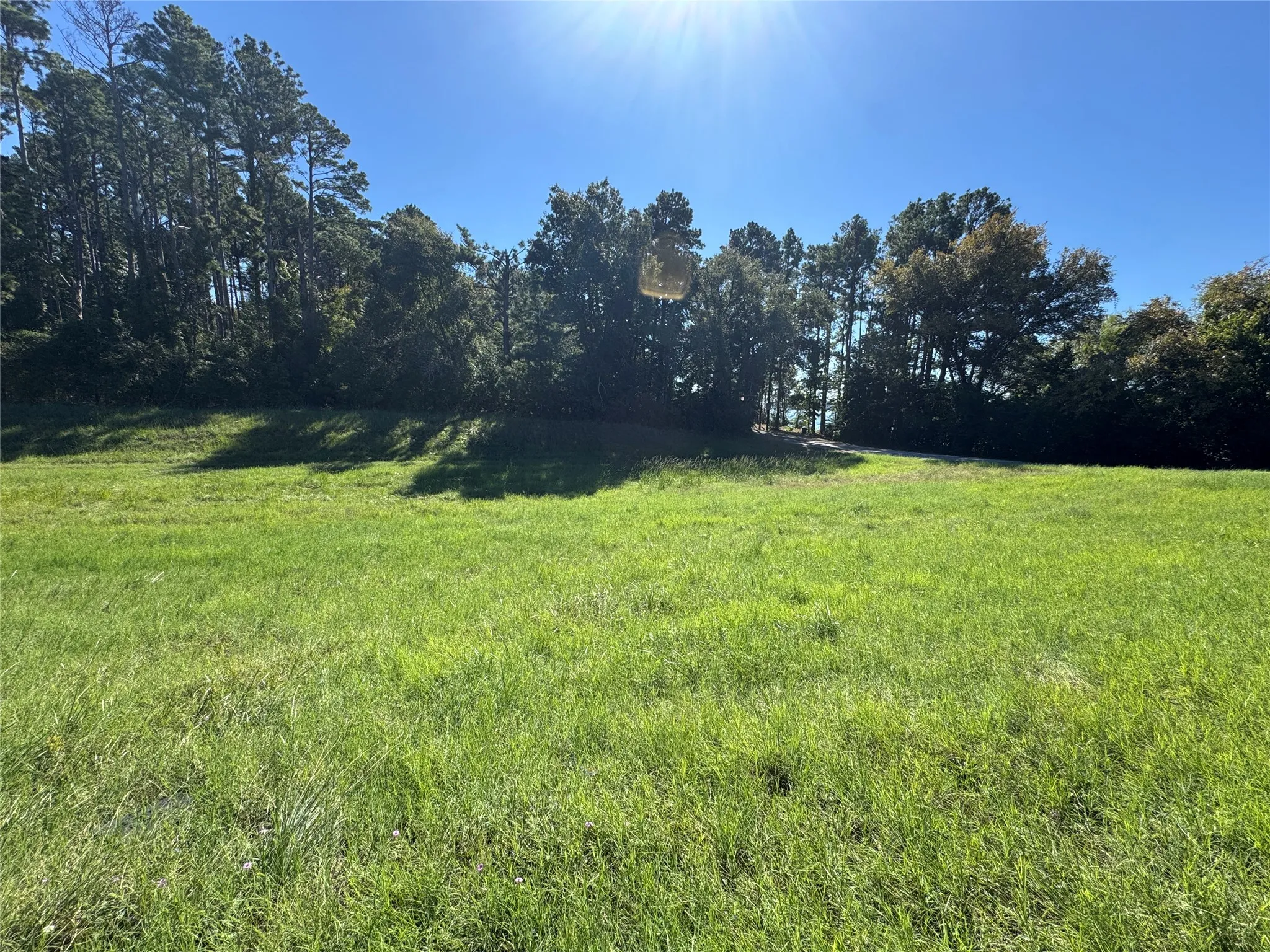 Unimproved Land For Sale in Henderson County , 8289 ST HWY 155, Frankston, Texas 75763, 0, 0, Garage spaces, 0 Sqft, built in 0, mls#21409697, Real Estate Agent in Frankston, Homes For Sale in Henderson county, Homes For Sale in Frankston, Realtor in Frankston Texas, Real Estate Brokerage Independent Realty Texas, Luminita Cordes Realtor