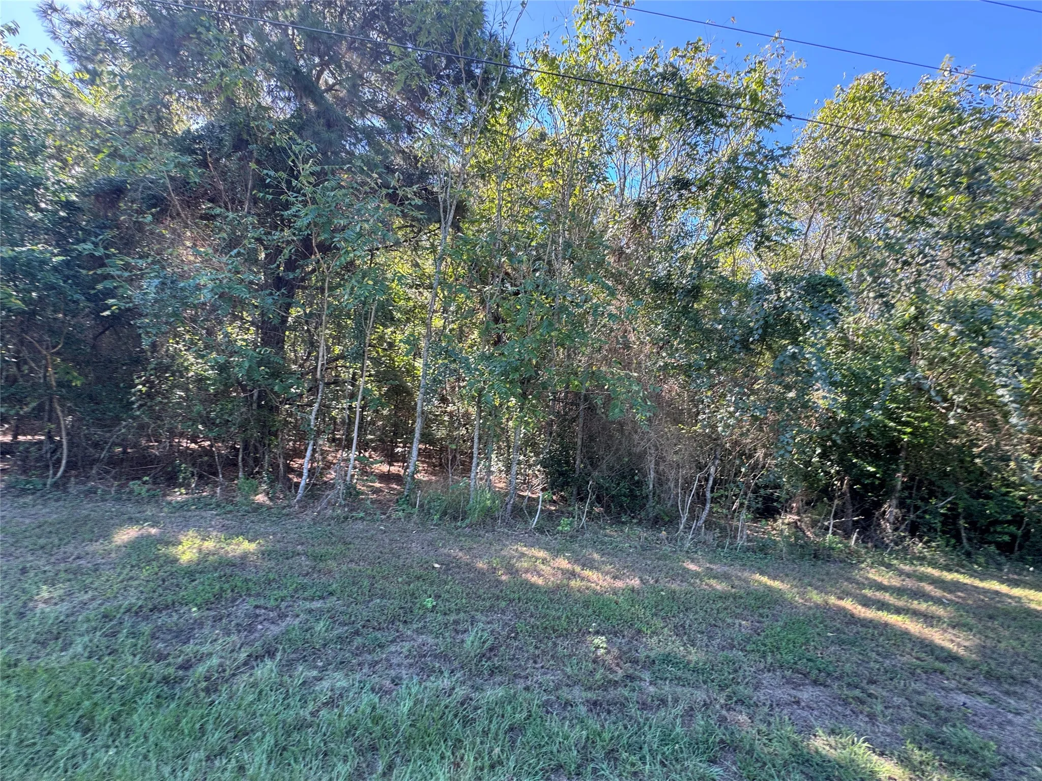 Unimproved Land For Sale in Henderson County , 8289 ST HWY 155, Frankston, Texas 75763, 0, 0, Garage spaces, 0 Sqft, built in 0, mls#21409697, Real Estate Agent in Frankston, Homes For Sale in Henderson county, Homes For Sale in Frankston, Realtor in Frankston Texas, Real Estate Brokerage Independent Realty Texas, Luminita Cordes Realtor