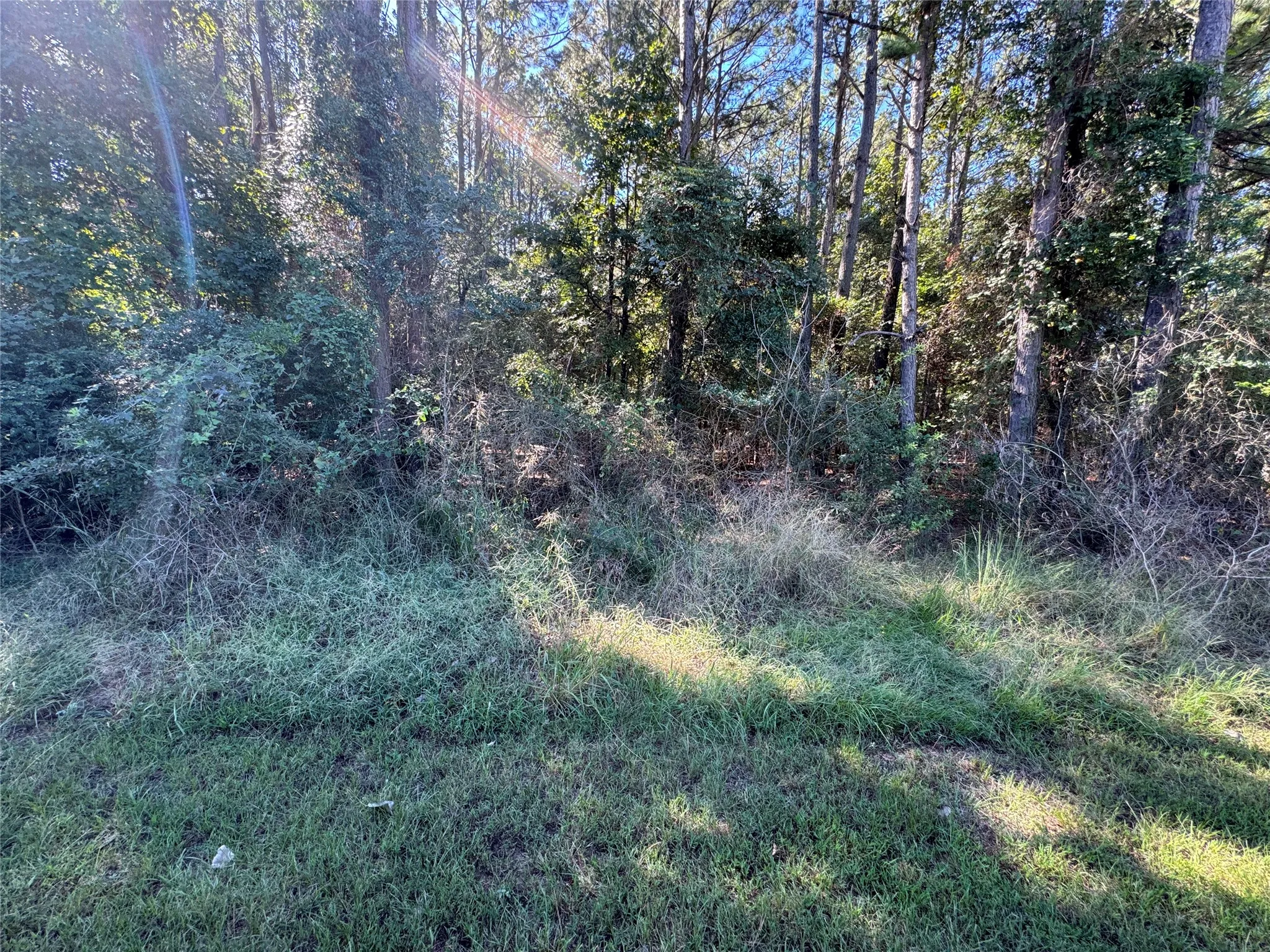 Unimproved Land For Sale in Henderson County , 8289 ST HWY 155, Frankston, Texas 75763, 0, 0, Garage spaces, 0 Sqft, built in 0, mls#21409697, Real Estate Agent in Frankston, Homes For Sale in Henderson county, Homes For Sale in Frankston, Realtor in Frankston Texas, Real Estate Brokerage Independent Realty Texas, Luminita Cordes Realtor