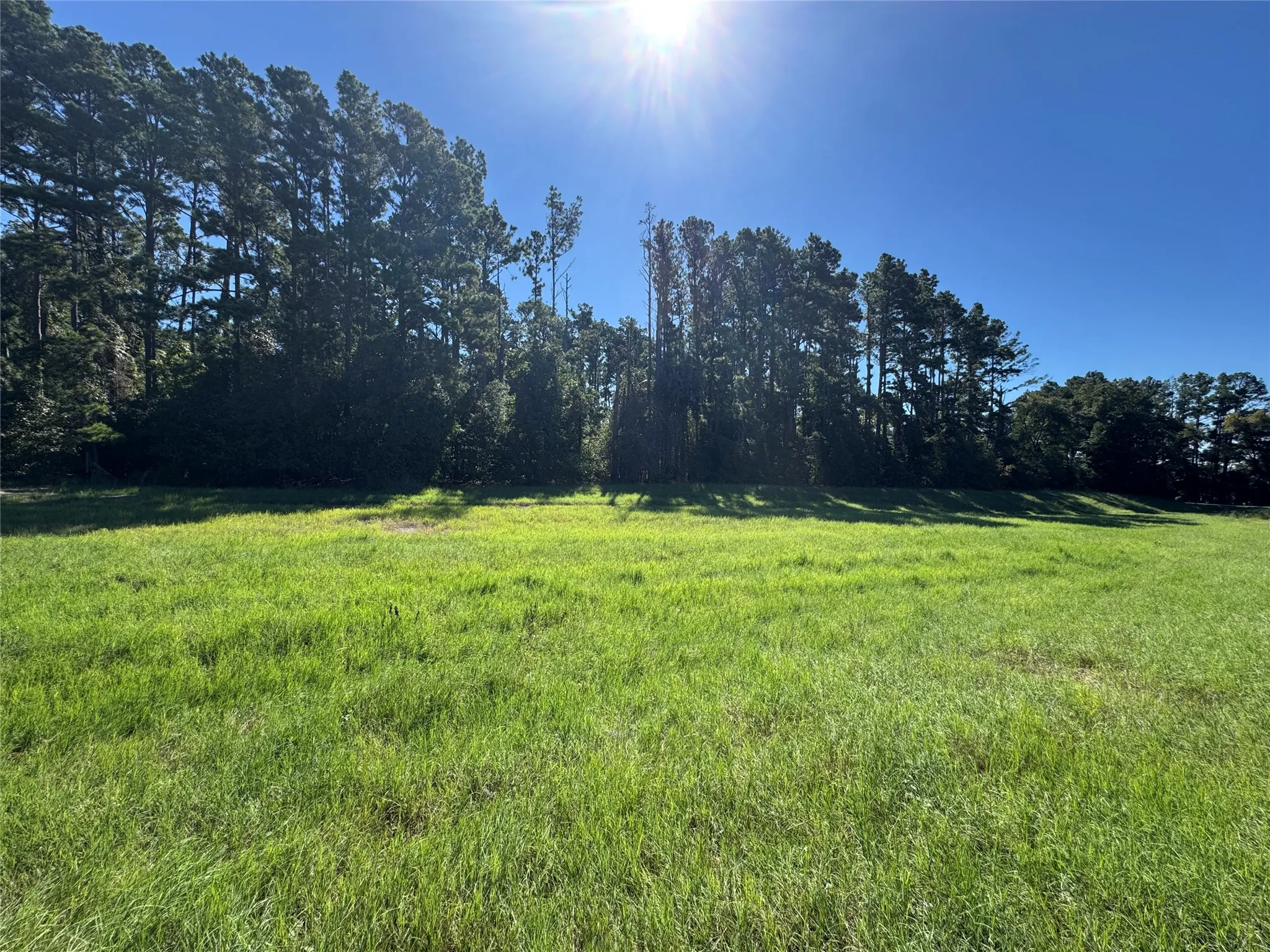 Unimproved Land For Sale in Henderson County , 8289 ST HWY 155, Frankston, Texas 75763, 0, 0, Garage spaces, 0 Sqft, built in 0, mls#21409697, Real Estate Agent in Frankston, Homes For Sale in Henderson county, Homes For Sale in Frankston, Realtor in Frankston Texas, Real Estate Brokerage Independent Realty Texas, Luminita Cordes Realtor