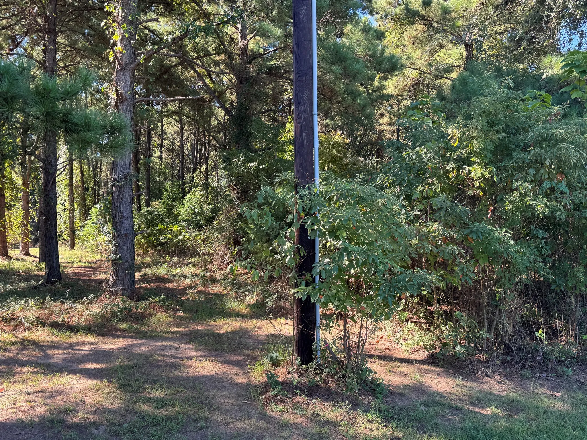 Unimproved Land For Sale in Henderson County , 8289 ST HWY 155, Frankston, Texas 75763, 0, 0, Garage spaces, 0 Sqft, built in 0, mls#21409697, Real Estate Agent in Frankston, Homes For Sale in Henderson county, Homes For Sale in Frankston, Realtor in Frankston Texas, Real Estate Brokerage Independent Realty Texas, Luminita Cordes Realtor
