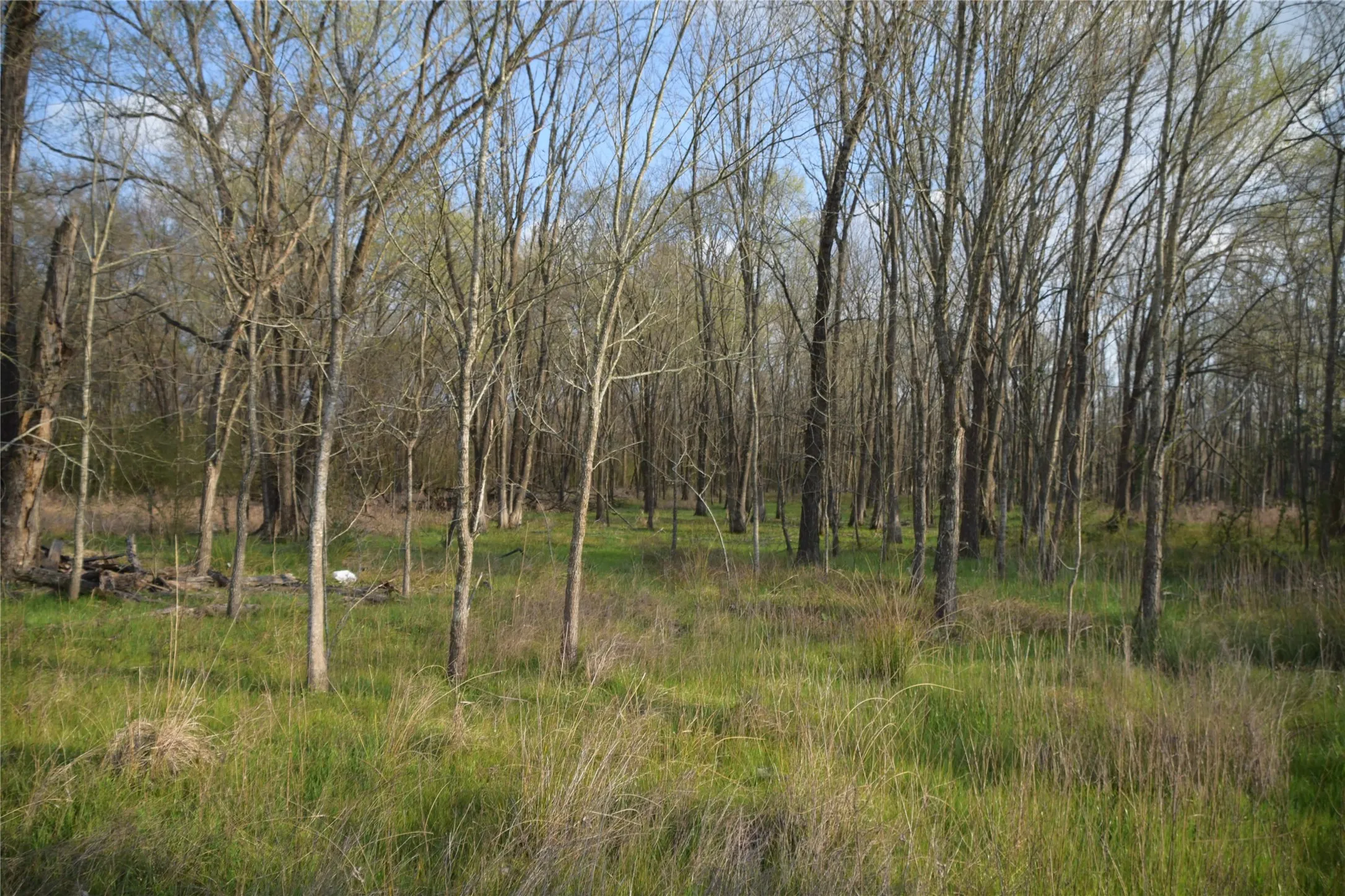 Unimproved Land For Sale in Anderson County , 9781 S Highway 79, Palestine, Texas 75801, 0, 0, Garage spaces, 0 Sqft, built in 0, mls#21409708, Real Estate Agent in Palestine, Homes For Sale in Anderson county, Homes For Sale in Palestine, Realtor in Palestine Texas, Real Estate Brokerage Independent Realty Texas, Luminita Cordes Realtor