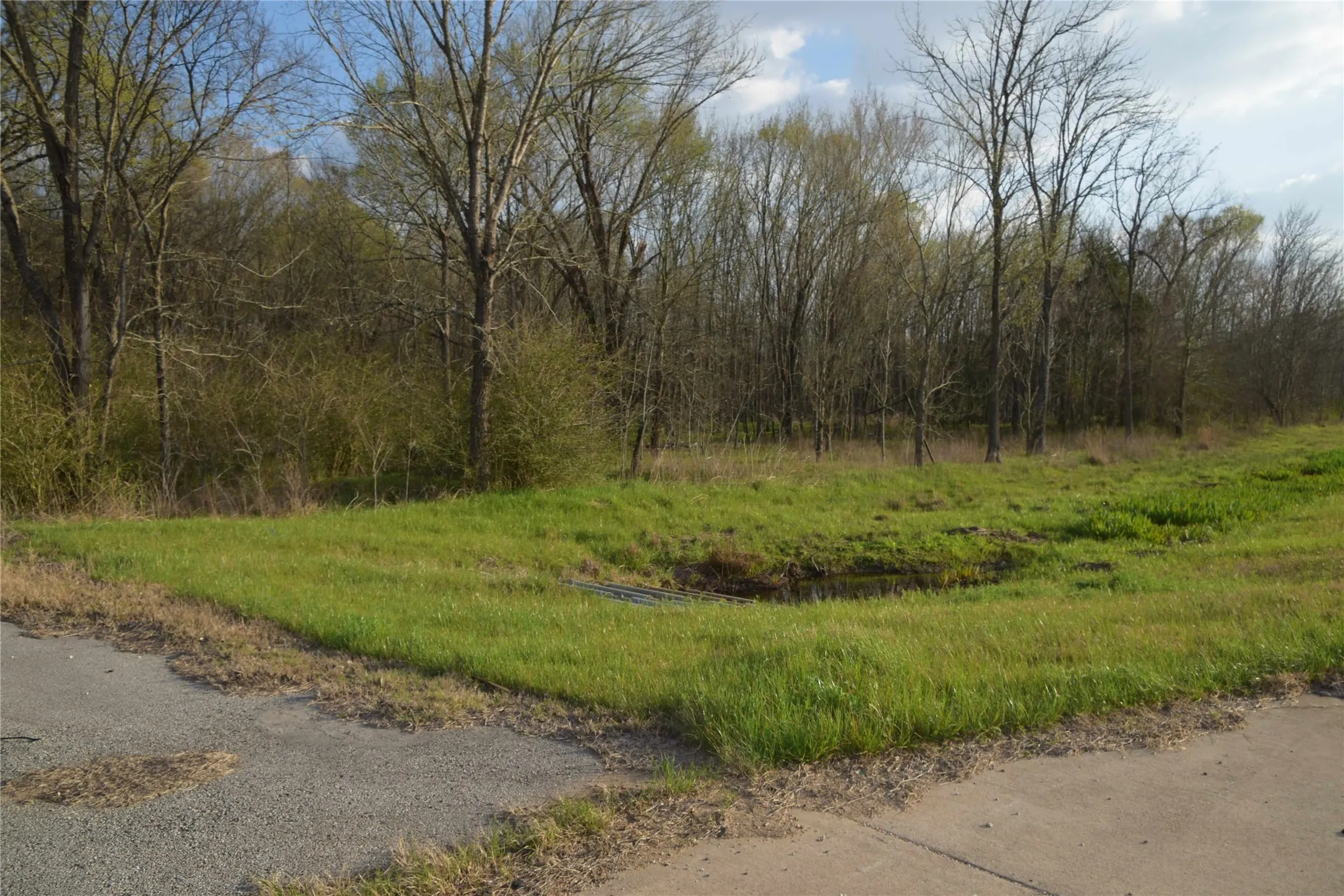 Unimproved Land For Sale in Anderson County , 9781 S Highway 79, Palestine, Texas 75801, 0, 0, Garage spaces, 0 Sqft, built in 0, mls#21409708, Real Estate Agent in Palestine, Homes For Sale in Anderson county, Homes For Sale in Palestine, Realtor in Palestine Texas, Real Estate Brokerage Independent Realty Texas, Luminita Cordes Realtor