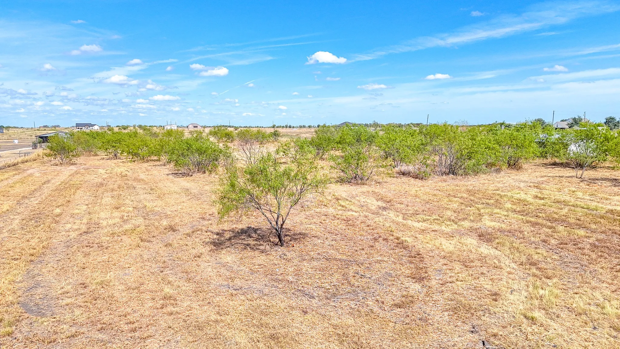 Ranch For Sale in Navarro County , Lot 36 NW County Road 1270, Corsicana, Texas 75110, 0, 0, Garage spaces, 0 Sqft, built in 0, mls#21403919, Real Estate Agent in Corsicana, Homes For Sale in Navarro county, Homes For Sale in Corsicana, Realtor in Corsicana Texas, Real Estate Brokerage Independent Realty Texas, Luminita Cordes Realtor