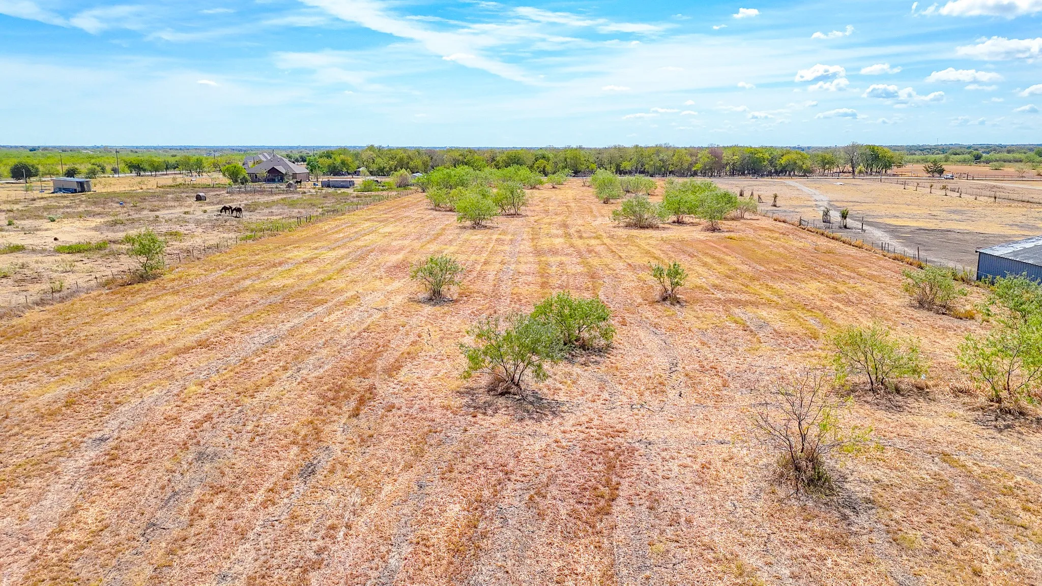 Ranch For Sale in Navarro County , Lot 36 NW County Road 1270, Corsicana, Texas 75110, 0, 0, Garage spaces, 0 Sqft, built in 0, mls#21403919, Real Estate Agent in Corsicana, Homes For Sale in Navarro county, Homes For Sale in Corsicana, Realtor in Corsicana Texas, Real Estate Brokerage Independent Realty Texas, Luminita Cordes Realtor