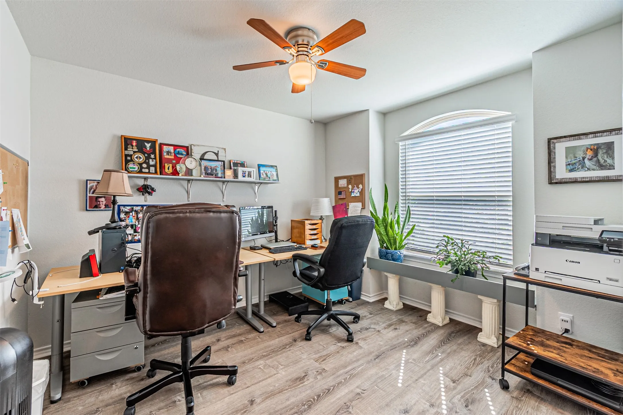 Wood-finish flooring, ceiling fan with integrated lighting, wall-mounted shelving, and an arched window