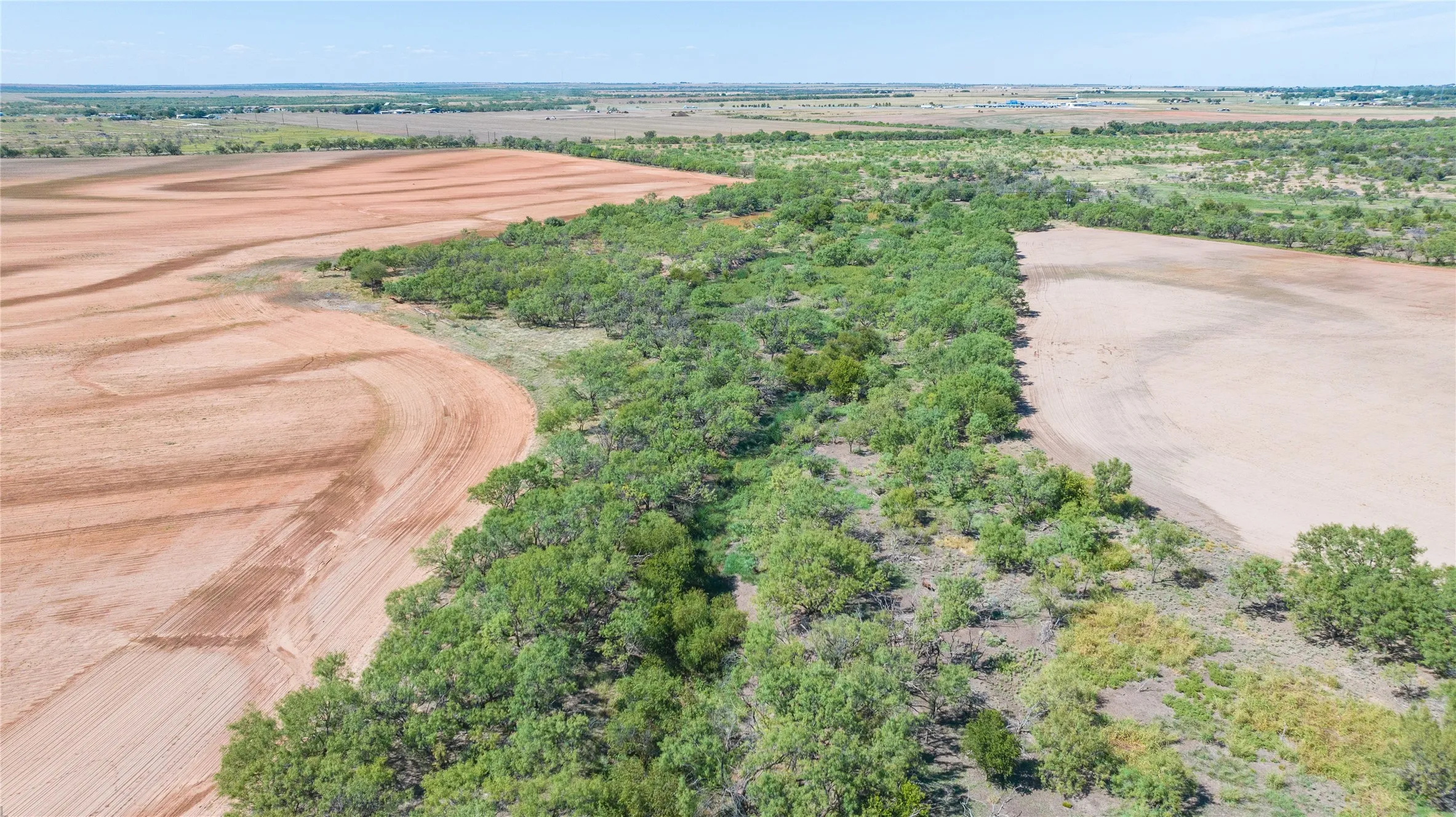 Unimproved Land For Sale in Haskell County , 175 Acres Kimbrough Rd, Haskell, Texas 79521, 0, 0, Garage spaces, 0 Sqft, built in 0, mls#21409512, Real Estate Agent in Haskell, Homes For Sale in Haskell county, Homes For Sale in Haskell, Realtor in Haskell Texas, Real Estate Brokerage Independent Realty Texas, Luminita Cordes Realtor