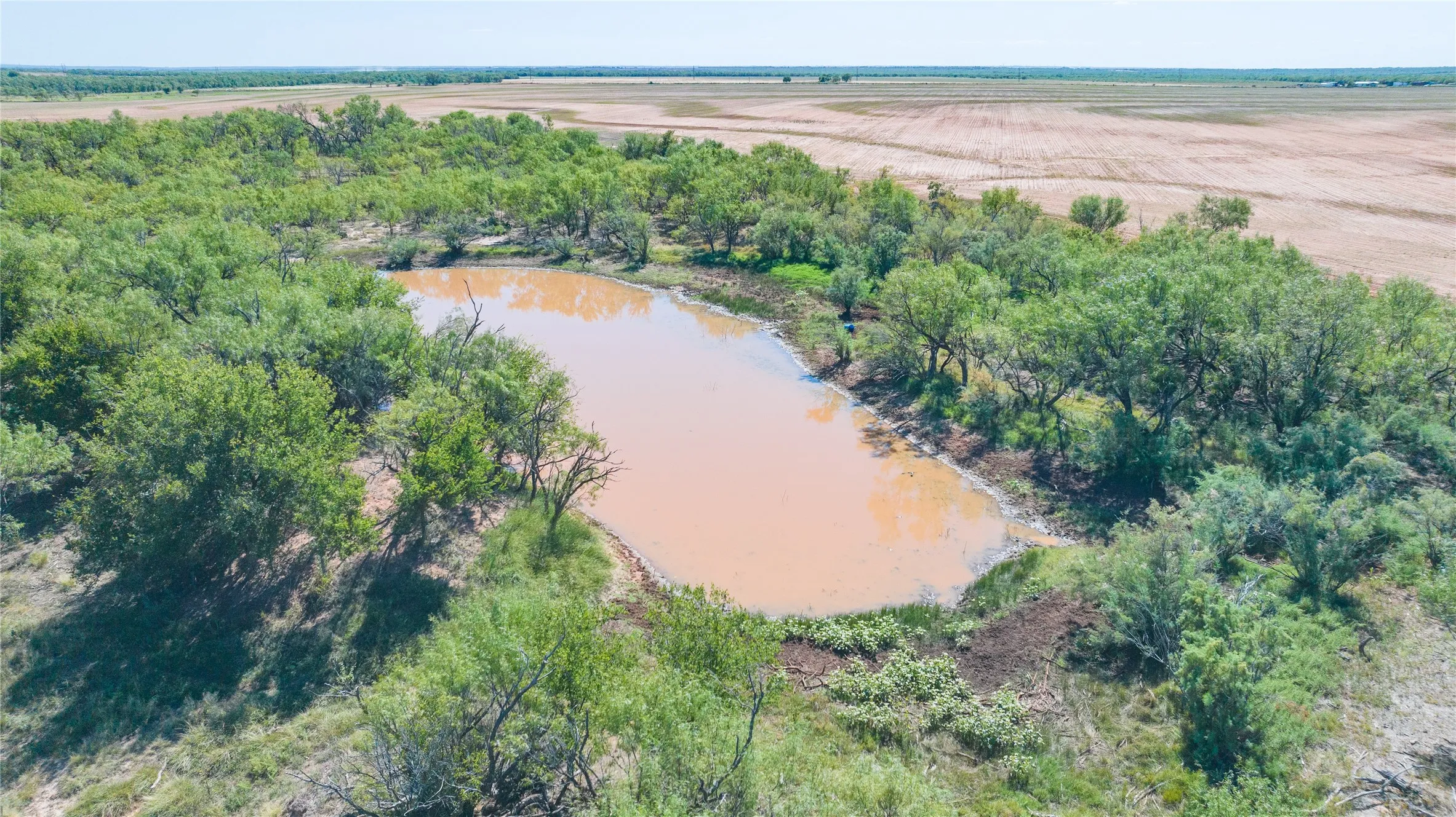 Unimproved Land For Sale in Haskell County , 175 Acres Kimbrough Rd, Haskell, Texas 79521, 0, 0, Garage spaces, 0 Sqft, built in 0, mls#21409512, Real Estate Agent in Haskell, Homes For Sale in Haskell county, Homes For Sale in Haskell, Realtor in Haskell Texas, Real Estate Brokerage Independent Realty Texas, Luminita Cordes Realtor