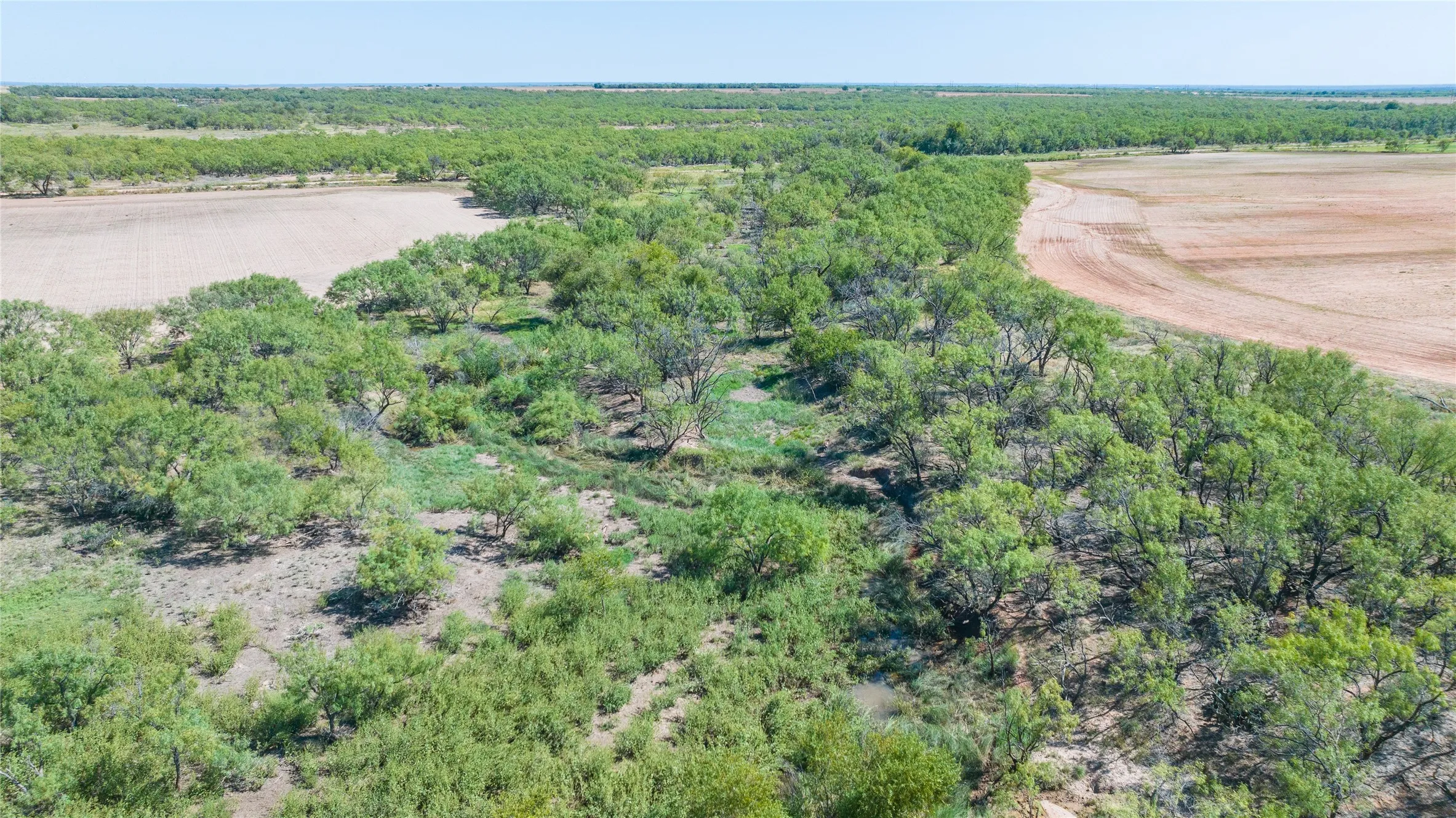 Unimproved Land For Sale in Haskell County , 175 Acres Kimbrough Rd, Haskell, Texas 79521, 0, 0, Garage spaces, 0 Sqft, built in 0, mls#21409512, Real Estate Agent in Haskell, Homes For Sale in Haskell county, Homes For Sale in Haskell, Realtor in Haskell Texas, Real Estate Brokerage Independent Realty Texas, Luminita Cordes Realtor