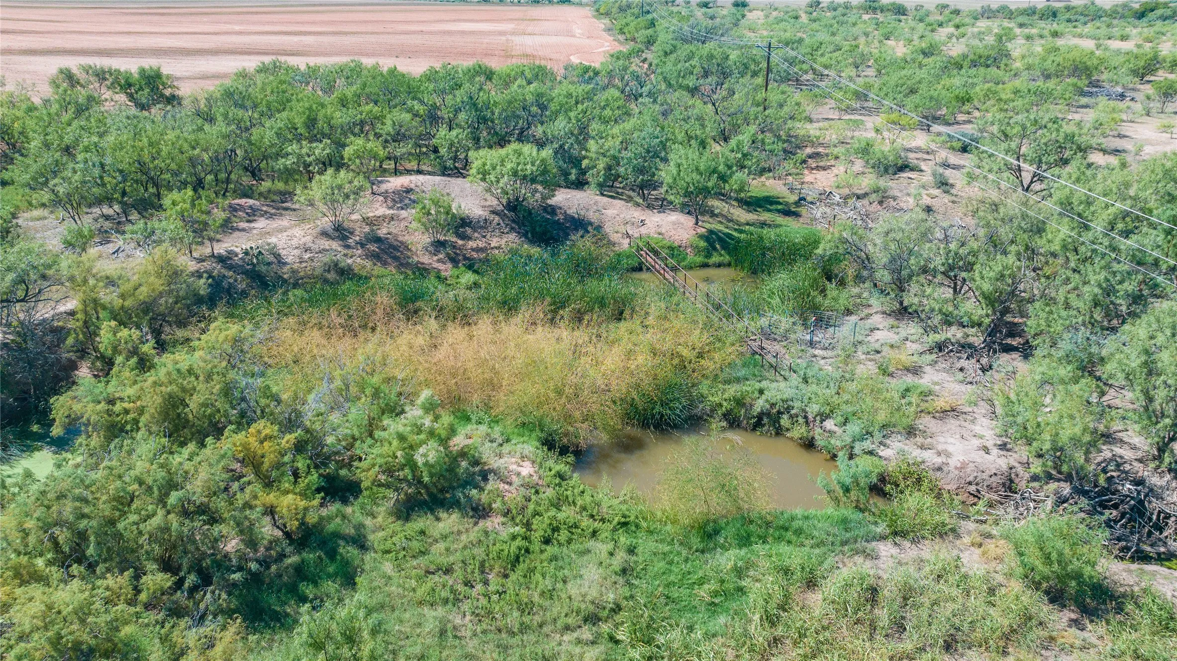 Unimproved Land For Sale in Haskell County , 175 Acres Kimbrough Rd, Haskell, Texas 79521, 0, 0, Garage spaces, 0 Sqft, built in 0, mls#21409512, Real Estate Agent in Haskell, Homes For Sale in Haskell county, Homes For Sale in Haskell, Realtor in Haskell Texas, Real Estate Brokerage Independent Realty Texas, Luminita Cordes Realtor