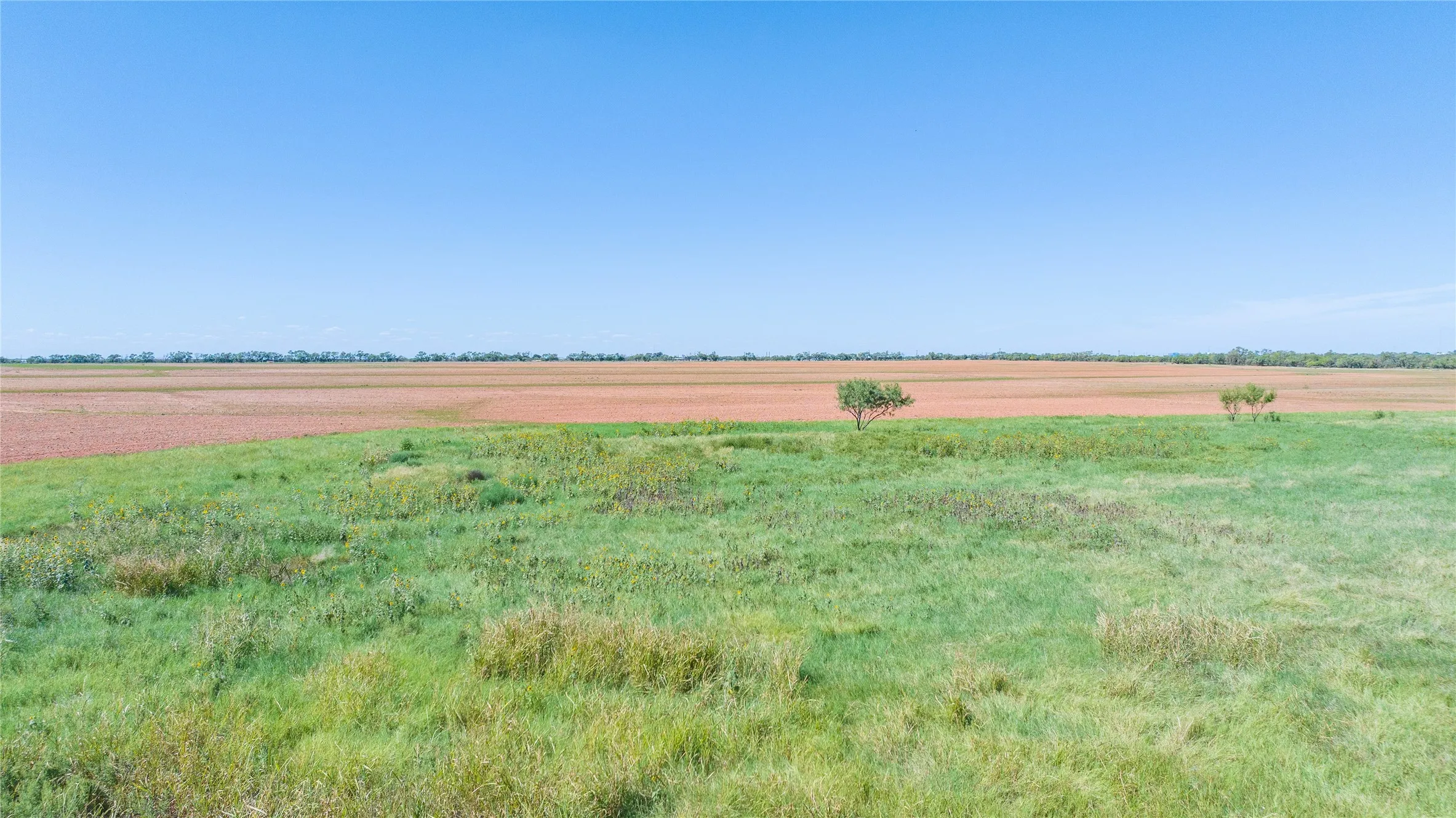 Unimproved Land For Sale in Haskell County , 175 Acres Kimbrough Rd, Haskell, Texas 79521, 0, 0, Garage spaces, 0 Sqft, built in 0, mls#21409512, Real Estate Agent in Haskell, Homes For Sale in Haskell county, Homes For Sale in Haskell, Realtor in Haskell Texas, Real Estate Brokerage Independent Realty Texas, Luminita Cordes Realtor