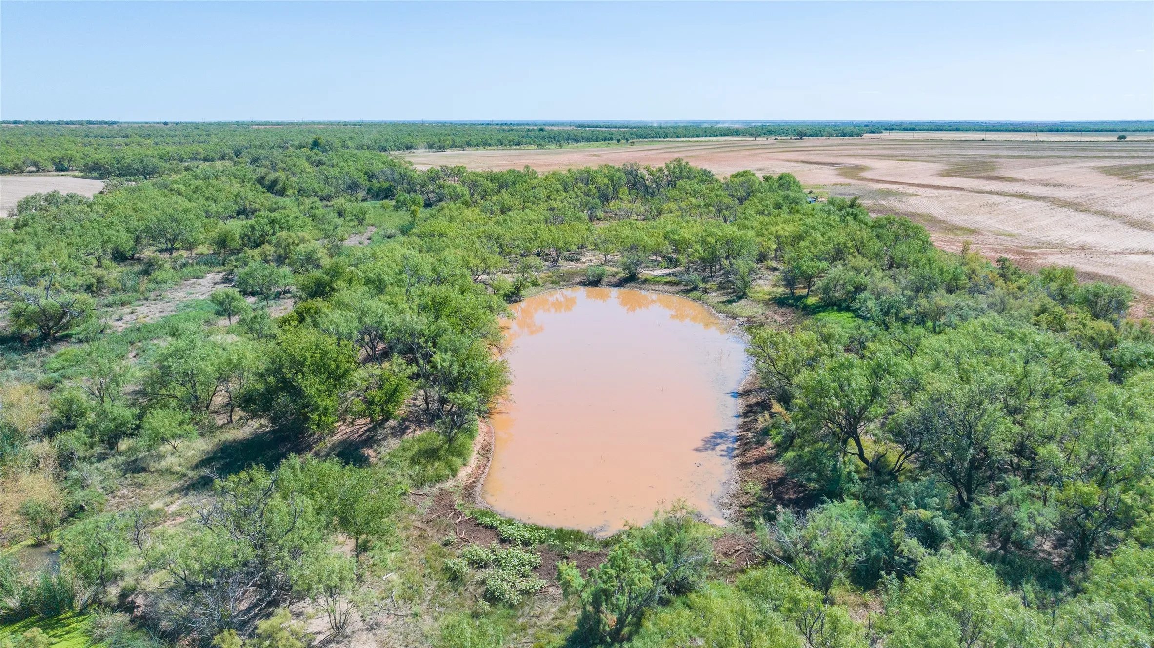 Unimproved Land For Sale in Haskell County , 175 Acres Kimbrough Rd, Haskell, Texas 79521, 0, 0, Garage spaces, 0 Sqft, built in 0, mls#21409512, Real Estate Agent in Haskell, Homes For Sale in Haskell county, Homes For Sale in Haskell, Realtor in Haskell Texas, Real Estate Brokerage Independent Realty Texas, Luminita Cordes Realtor