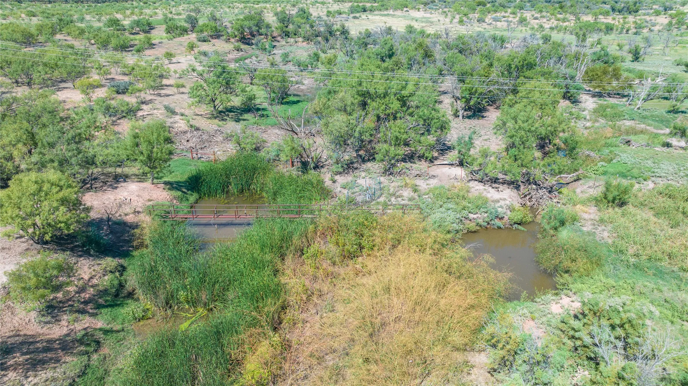 Unimproved Land For Sale in Haskell County , 175 Acres Kimbrough Rd, Haskell, Texas 79521, 0, 0, Garage spaces, 0 Sqft, built in 0, mls#21409512, Real Estate Agent in Haskell, Homes For Sale in Haskell county, Homes For Sale in Haskell, Realtor in Haskell Texas, Real Estate Brokerage Independent Realty Texas, Luminita Cordes Realtor