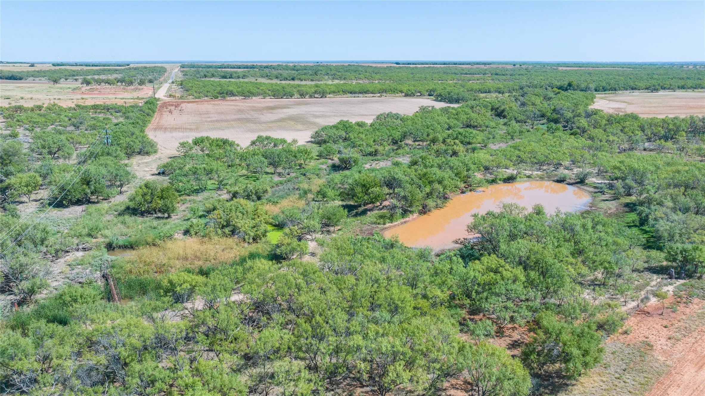 Unimproved Land For Sale in Haskell County , 175 Acres Kimbrough Rd, Haskell, Texas 79521, 0, 0, Garage spaces, 0 Sqft, built in 0, mls#21409512, Real Estate Agent in Haskell, Homes For Sale in Haskell county, Homes For Sale in Haskell, Realtor in Haskell Texas, Real Estate Brokerage Independent Realty Texas, Luminita Cordes Realtor