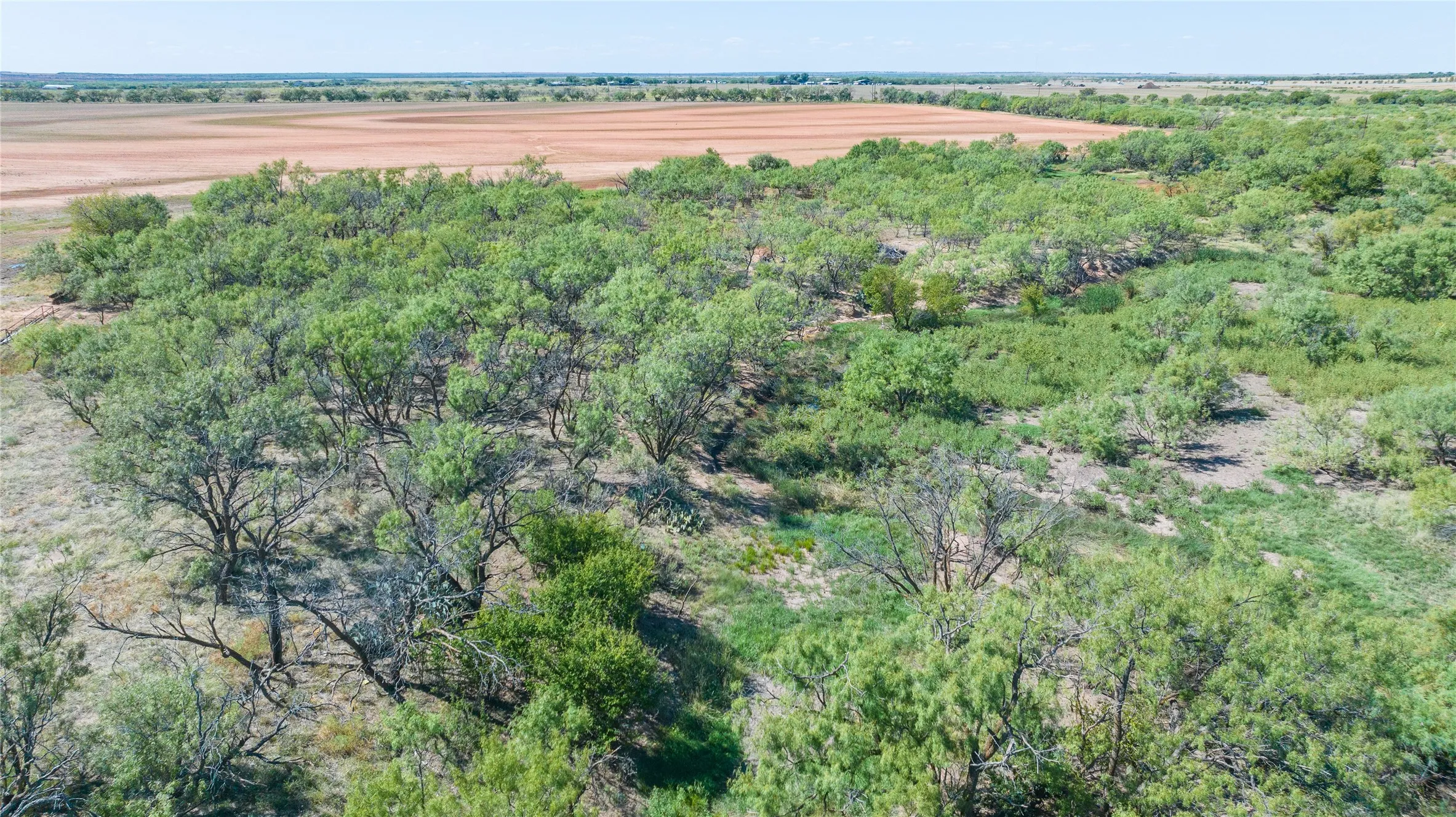 Unimproved Land For Sale in Haskell County , 175 Acres Kimbrough Rd, Haskell, Texas 79521, 0, 0, Garage spaces, 0 Sqft, built in 0, mls#21409512, Real Estate Agent in Haskell, Homes For Sale in Haskell county, Homes For Sale in Haskell, Realtor in Haskell Texas, Real Estate Brokerage Independent Realty Texas, Luminita Cordes Realtor