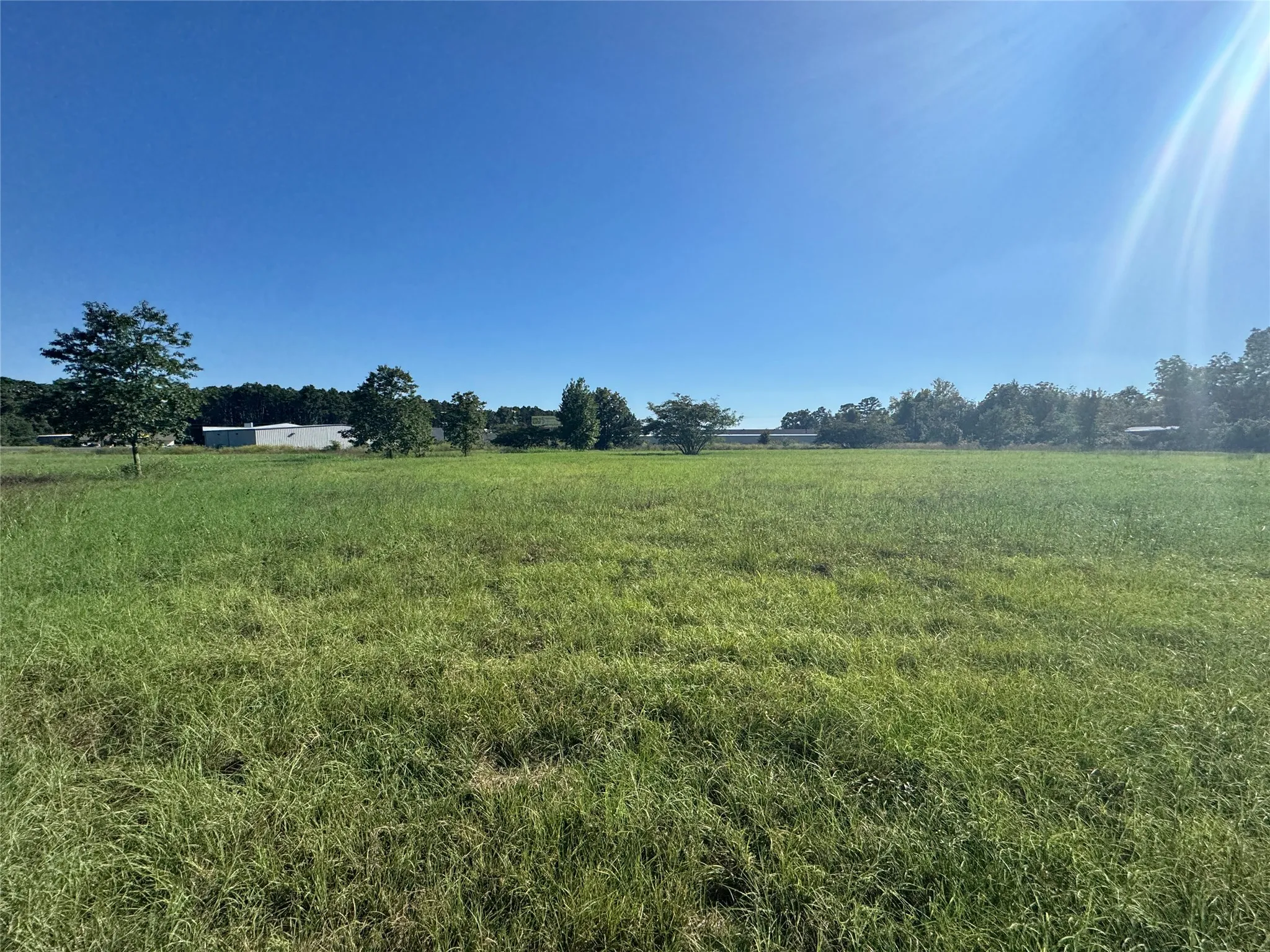 Unimproved Land For Sale in Henderson County , 7900 Hwy 155, Coffee City, Texas 75763, 0, 0, Garage spaces, 0 Sqft, built in 0, mls#21409805, Real Estate Agent in Coffee City, Homes For Sale in Henderson county, Homes For Sale in Coffee City, Realtor in Coffee City Texas, Real Estate Brokerage Independent Realty Texas, Luminita Cordes Realtor