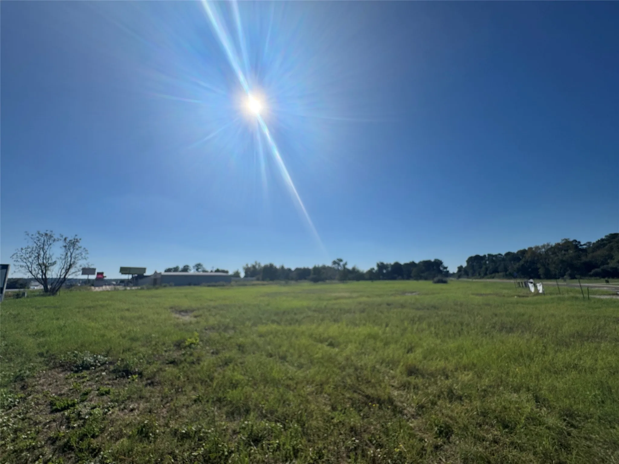 Unimproved Land For Sale in Henderson County , 7900 Hwy 155, Coffee City, Texas 75763, 0, 0, Garage spaces, 0 Sqft, built in 0, mls#21409805, Real Estate Agent in Coffee City, Homes For Sale in Henderson county, Homes For Sale in Coffee City, Realtor in Coffee City Texas, Real Estate Brokerage Independent Realty Texas, Luminita Cordes Realtor