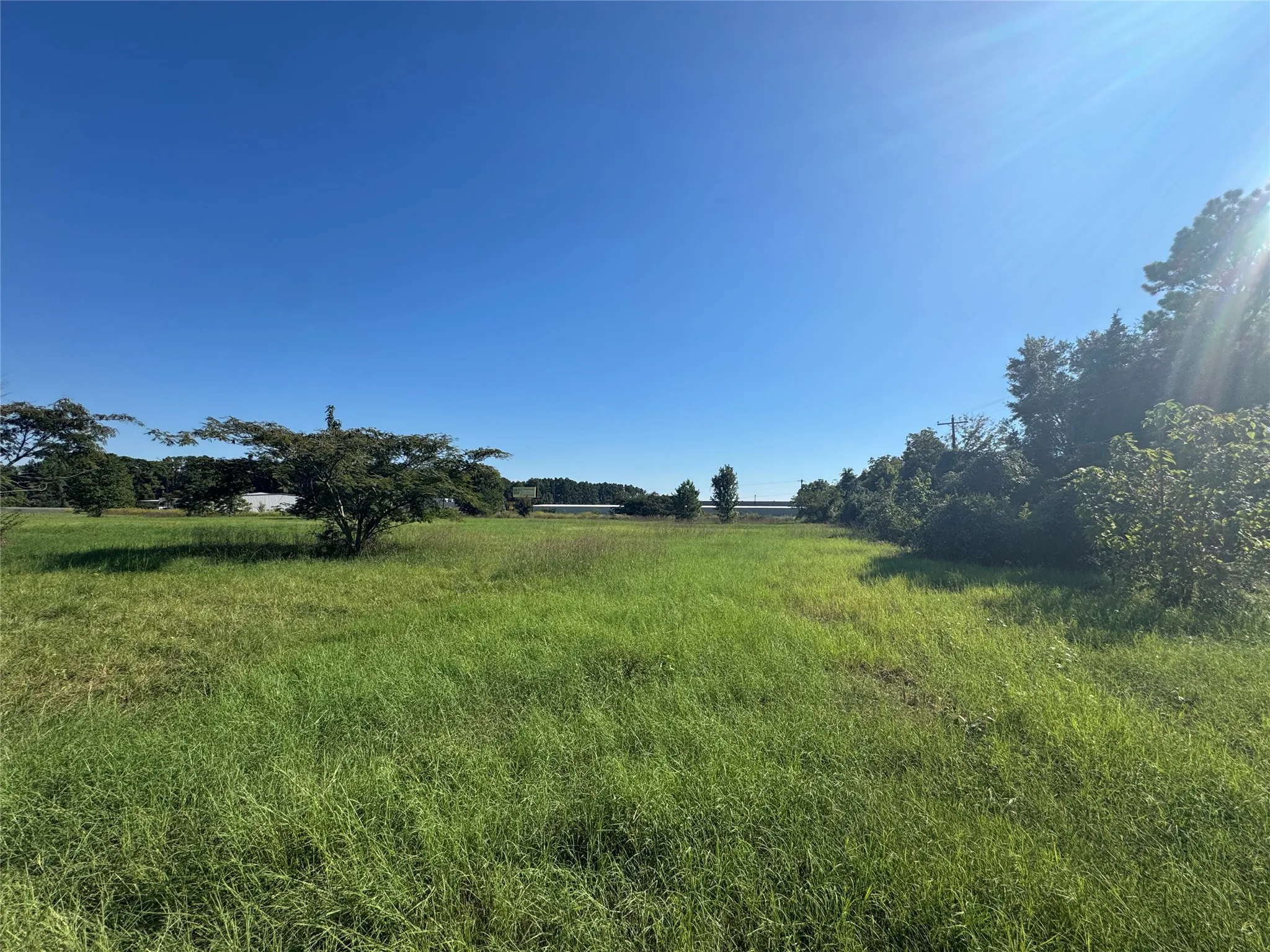 Unimproved Land For Sale in Henderson County , 7900 Hwy 155, Coffee City, Texas 75763, 0, 0, Garage spaces, 0 Sqft, built in 0, mls#21409805, Real Estate Agent in Coffee City, Homes For Sale in Henderson county, Homes For Sale in Coffee City, Realtor in Coffee City Texas, Real Estate Brokerage Independent Realty Texas, Luminita Cordes Realtor