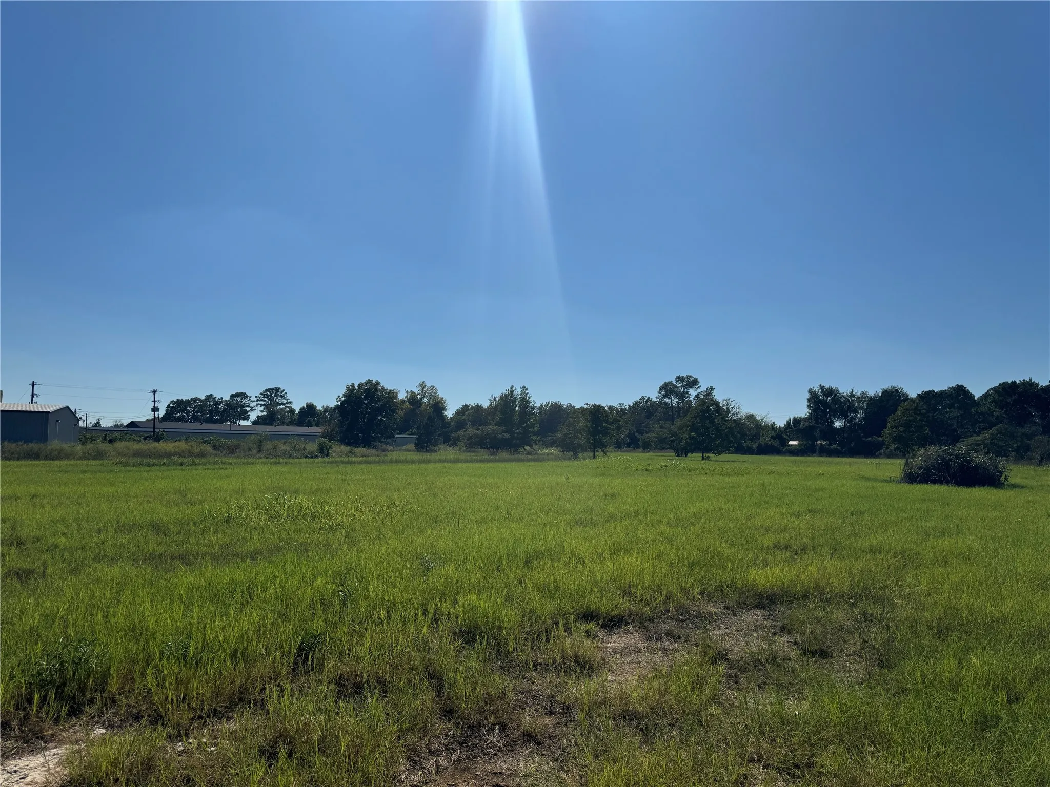 Unimproved Land For Sale in Henderson County , 7900 Hwy 155, Coffee City, Texas 75763, 0, 0, Garage spaces, 0 Sqft, built in 0, mls#21409805, Real Estate Agent in Coffee City, Homes For Sale in Henderson county, Homes For Sale in Coffee City, Realtor in Coffee City Texas, Real Estate Brokerage Independent Realty Texas, Luminita Cordes Realtor