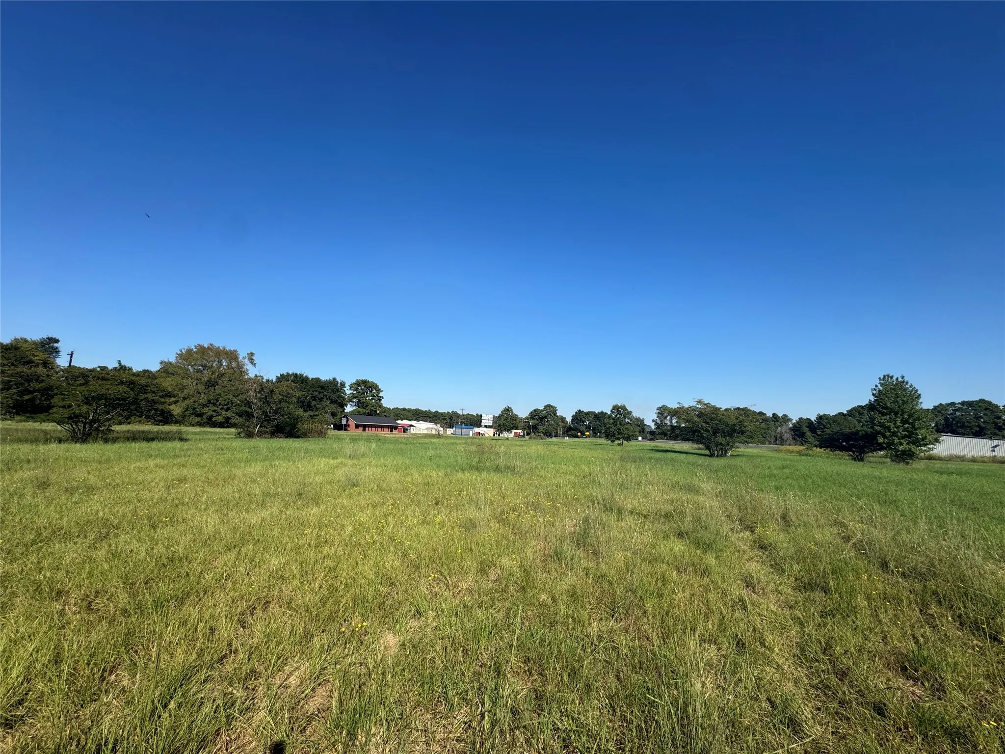 Unimproved Land For Sale in Henderson County , 7900 Hwy 155, Coffee City, Texas 75763, 0, 0, Garage spaces, 0 Sqft, built in 0, mls#21409805, Real Estate Agent in Coffee City, Homes For Sale in Henderson county, Homes For Sale in Coffee City, Realtor in Coffee City Texas, Real Estate Brokerage Independent Realty Texas, Luminita Cordes Realtor