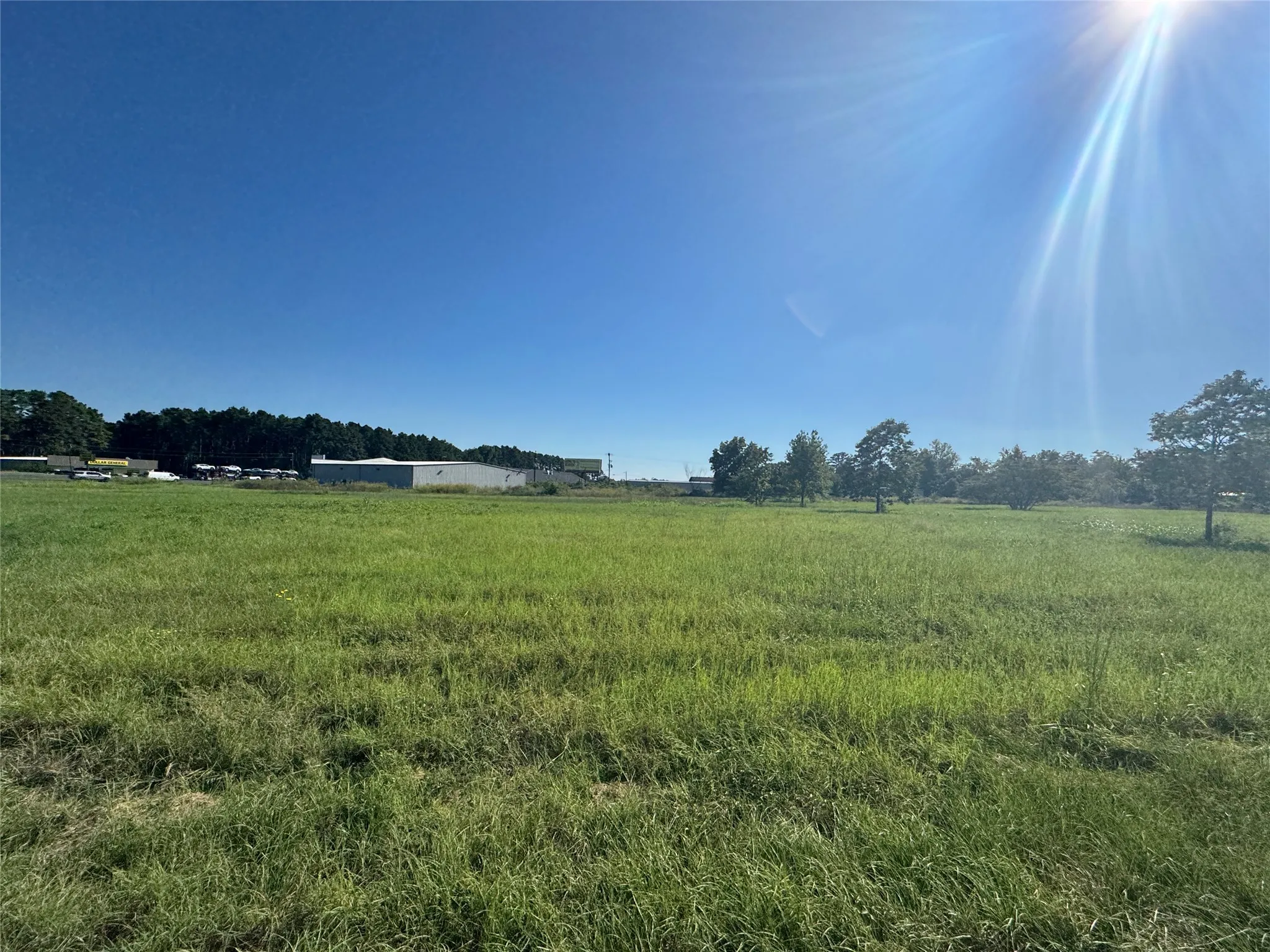 Unimproved Land For Sale in Henderson County , 7900 Hwy 155, Coffee City, Texas 75763, 0, 0, Garage spaces, 0 Sqft, built in 0, mls#21409805, Real Estate Agent in Coffee City, Homes For Sale in Henderson county, Homes For Sale in Coffee City, Realtor in Coffee City Texas, Real Estate Brokerage Independent Realty Texas, Luminita Cordes Realtor