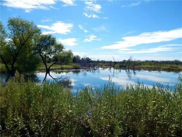 Single Family Residence For Sale in Jack County , 9672 FM 175, No City, Texas 76365, 3 Bedroom, 3 Bathroom, Garage spaces, 1,800 Sqft, built in 2017, mls#21409787, Real Estate Agent in No City, Homes For Sale in Jack county, Homes For Sale in No City, Realtor in No City Texas, Real Estate Brokerage Independent Realty Texas, Luminita Cordes Realtor