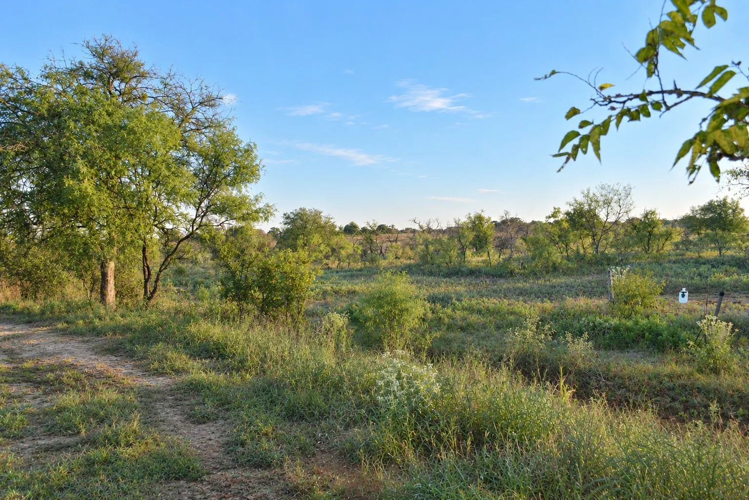 Single Family Residence For Sale in Jack County , 9672 FM 175, No City, Texas 76365, 3 Bedroom, 3 Bathroom, Garage spaces, 1,800 Sqft, built in 2017, mls#21409787, Real Estate Agent in No City, Homes For Sale in Jack county, Homes For Sale in No City, Realtor in No City Texas, Real Estate Brokerage Independent Realty Texas, Luminita Cordes Realtor