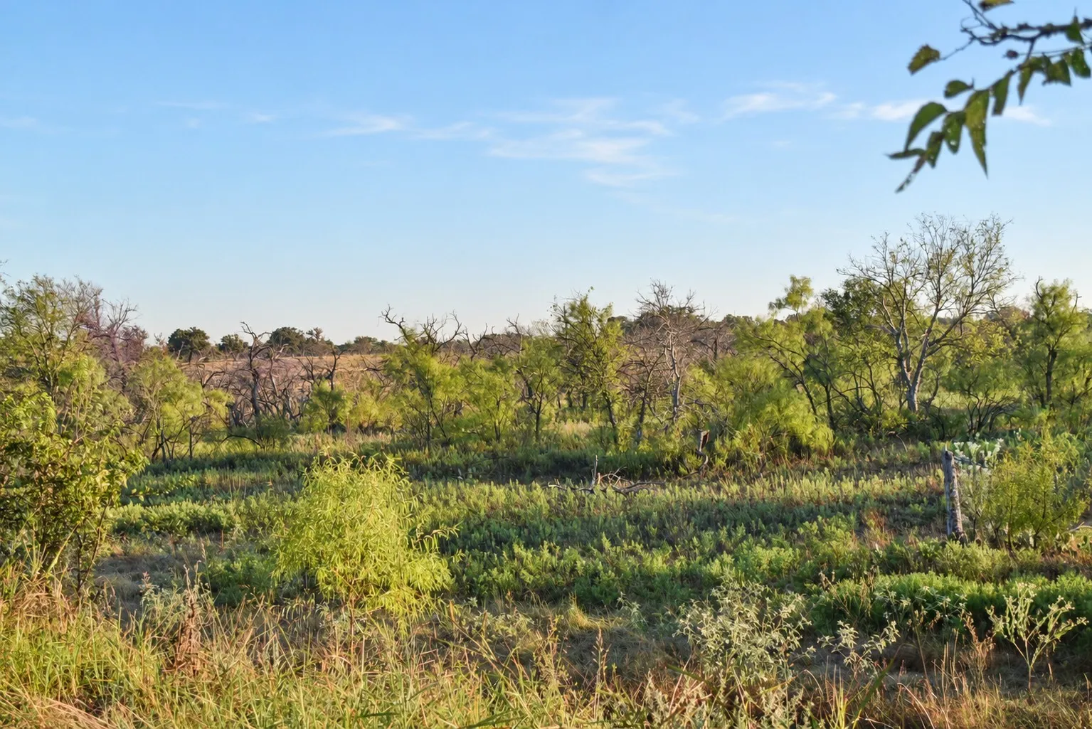 Single Family Residence For Sale in Jack County , 9672 FM 175, No City, Texas 76365, 3 Bedroom, 3 Bathroom, Garage spaces, 1,800 Sqft, built in 2017, mls#21409787, Real Estate Agent in No City, Homes For Sale in Jack county, Homes For Sale in No City, Realtor in No City Texas, Real Estate Brokerage Independent Realty Texas, Luminita Cordes Realtor