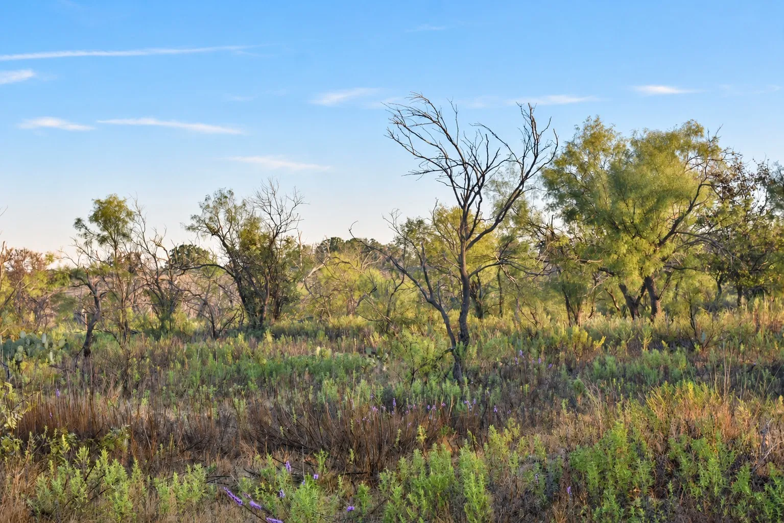 Single Family Residence For Sale in Jack County , 9672 FM 175, No City, Texas 76365, 3 Bedroom, 3 Bathroom, Garage spaces, 1,800 Sqft, built in 2017, mls#21409787, Real Estate Agent in No City, Homes For Sale in Jack county, Homes For Sale in No City, Realtor in No City Texas, Real Estate Brokerage Independent Realty Texas, Luminita Cordes Realtor