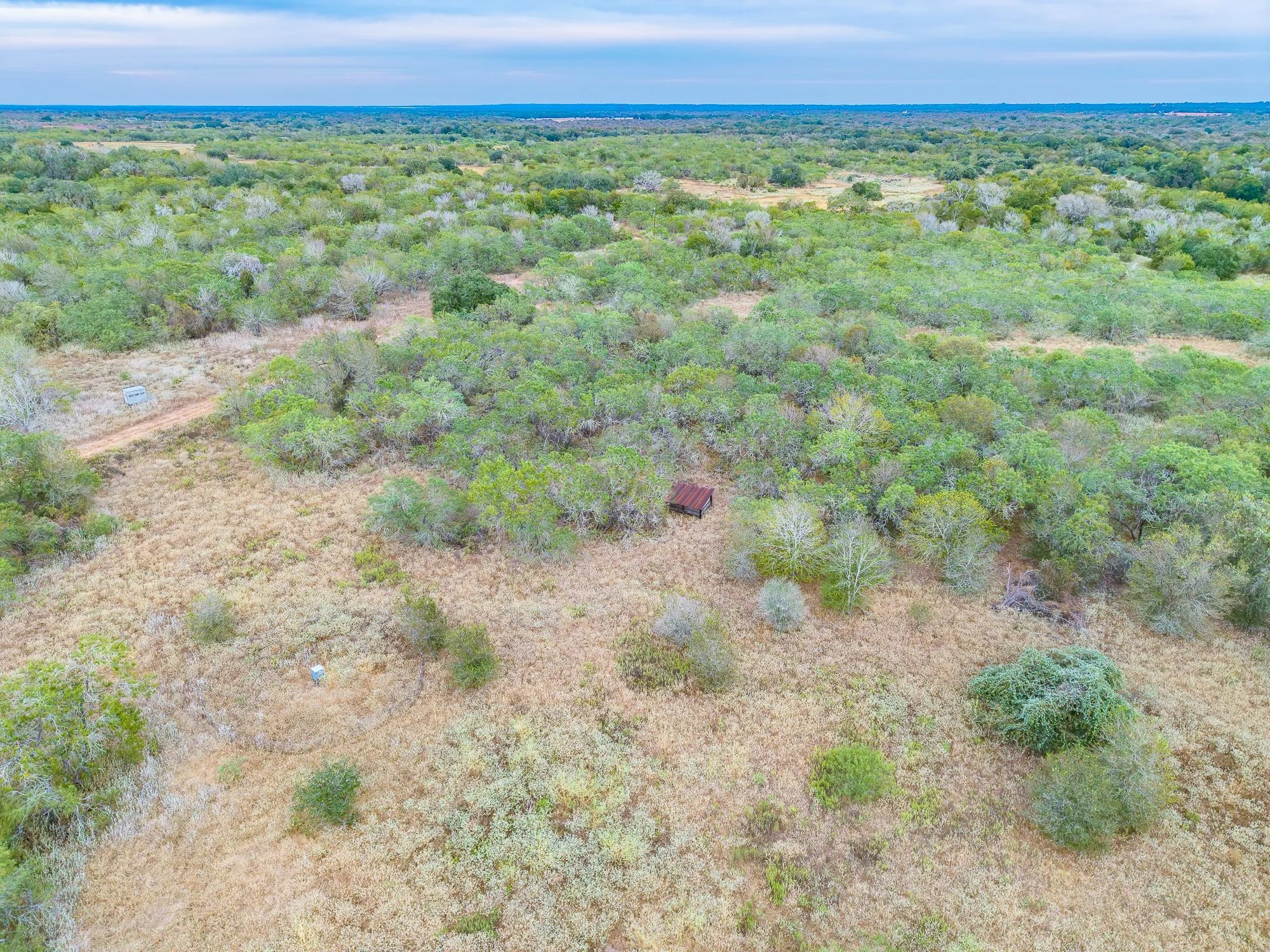Ranch For Sale in Gonzales County , TBD County Road 408, Waelder, Texas 78959, 0, 0, Garage spaces, 0 Sqft, built in 0, mls#21409816, Real Estate Agent in Waelder, Homes For Sale in Gonzales county, Homes For Sale in Waelder, Realtor in Waelder Texas, Real Estate Brokerage Independent Realty Texas, Luminita Cordes Realtor