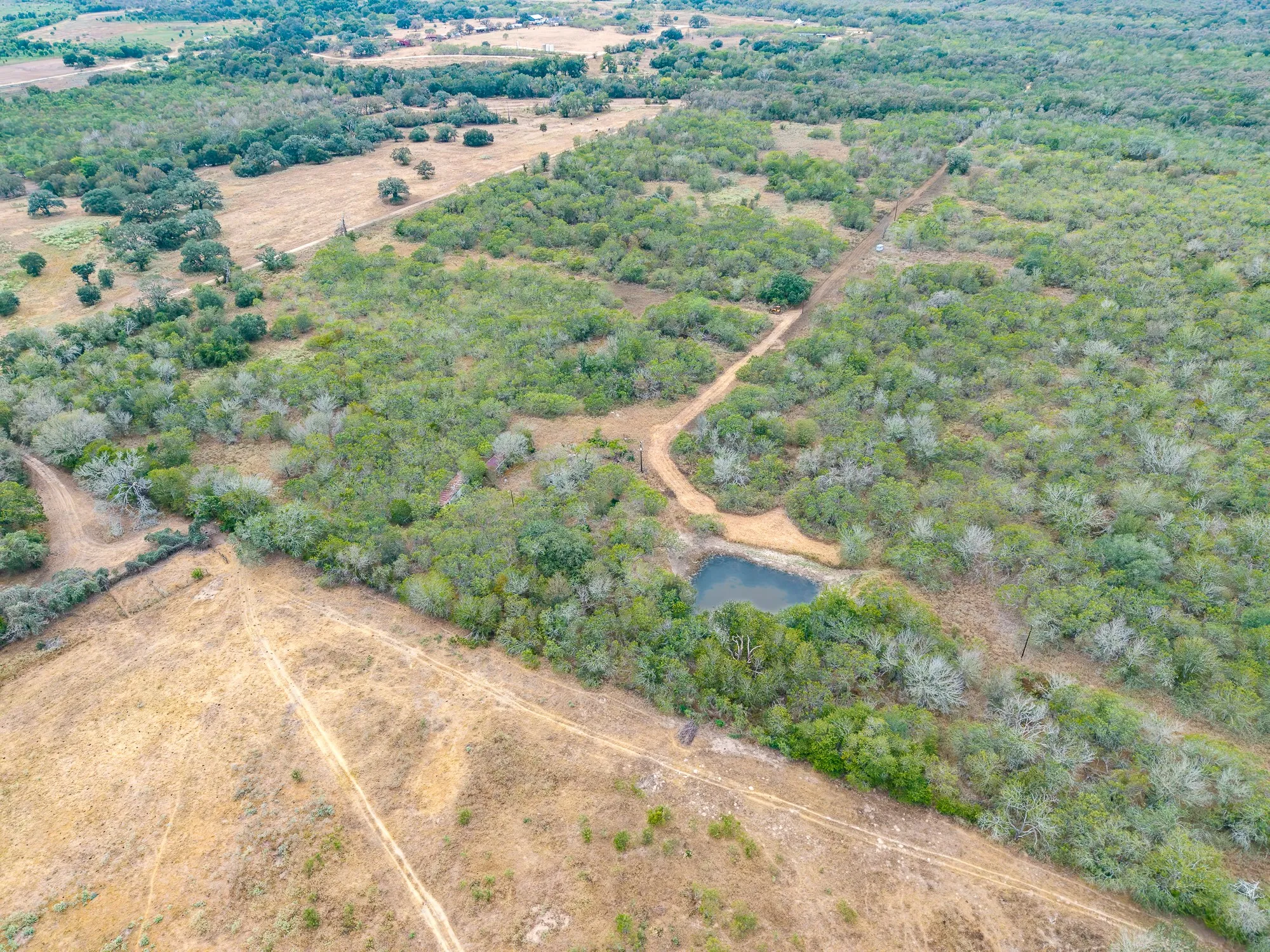 Ranch For Sale in Gonzales County , TBD County Road 408, Waelder, Texas 78959, 0, 0, Garage spaces, 0 Sqft, built in 0, mls#21409816, Real Estate Agent in Waelder, Homes For Sale in Gonzales county, Homes For Sale in Waelder, Realtor in Waelder Texas, Real Estate Brokerage Independent Realty Texas, Luminita Cordes Realtor
