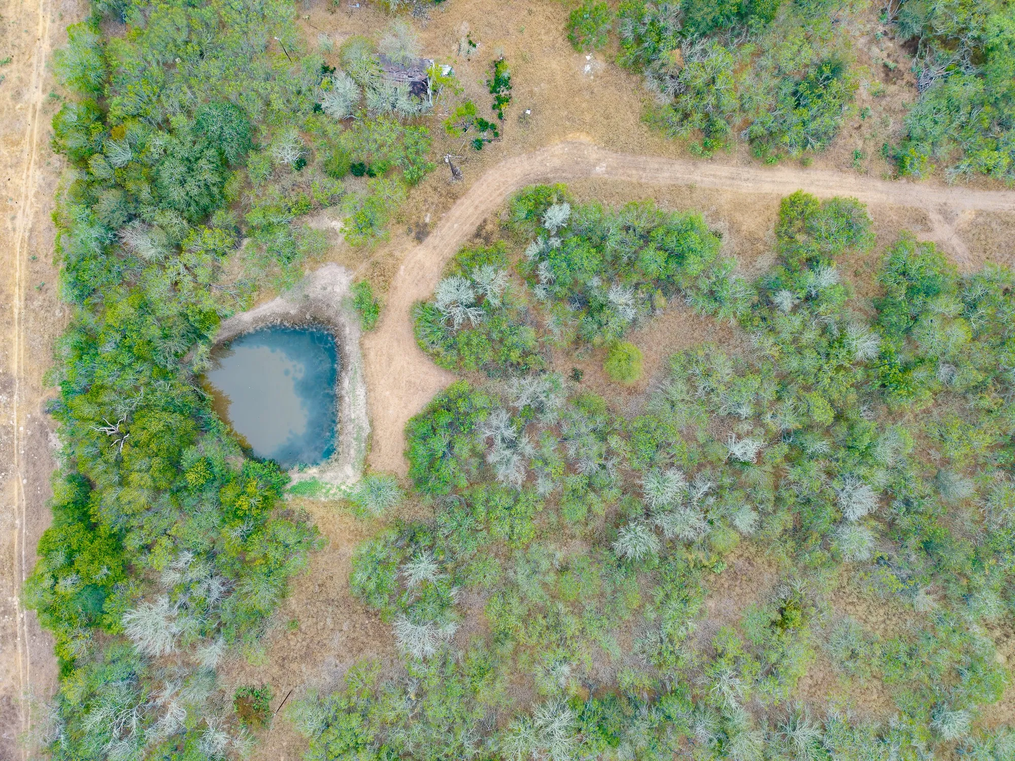 Ranch For Sale in Gonzales County , TBD County Road 408, Waelder, Texas 78959, 0, 0, Garage spaces, 0 Sqft, built in 0, mls#21409816, Real Estate Agent in Waelder, Homes For Sale in Gonzales county, Homes For Sale in Waelder, Realtor in Waelder Texas, Real Estate Brokerage Independent Realty Texas, Luminita Cordes Realtor