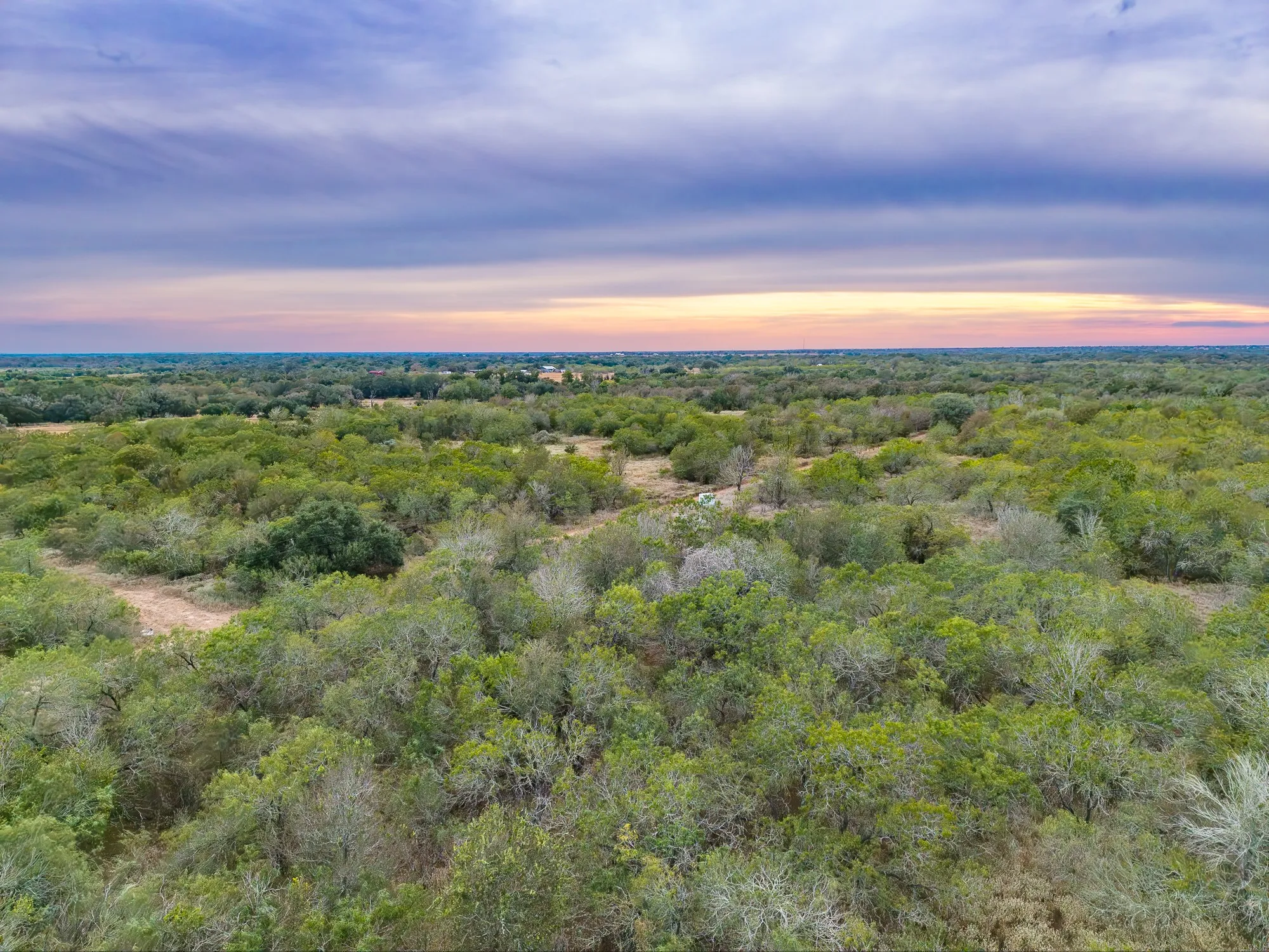 Ranch For Sale in Gonzales County , TBD County Road 408, Waelder, Texas 78959, 0, 0, Garage spaces, 0 Sqft, built in 0, mls#21409816, Real Estate Agent in Waelder, Homes For Sale in Gonzales county, Homes For Sale in Waelder, Realtor in Waelder Texas, Real Estate Brokerage Independent Realty Texas, Luminita Cordes Realtor