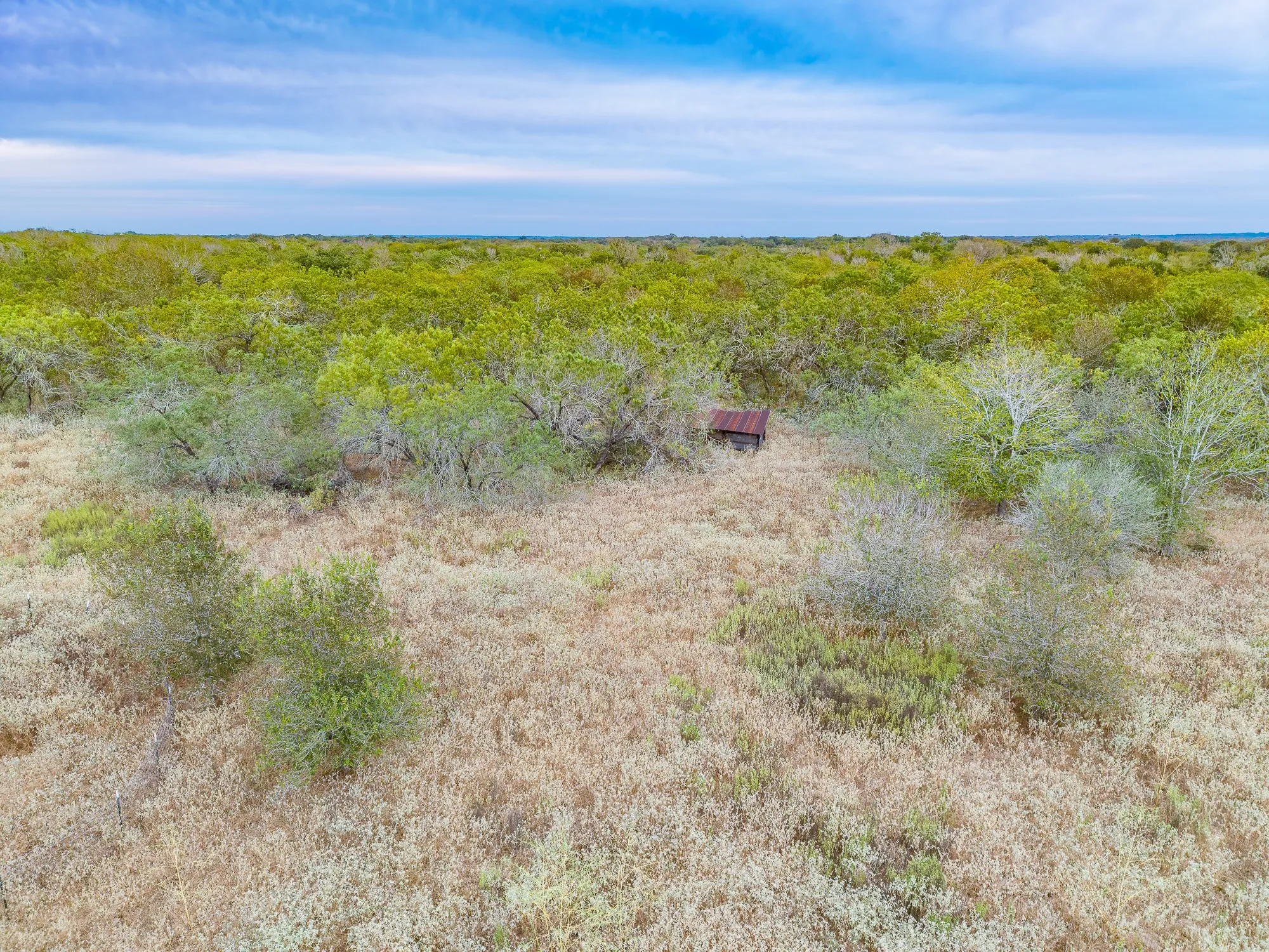 Ranch For Sale in Gonzales County , TBD County Road 408, Waelder, Texas 78959, 0, 0, Garage spaces, 0 Sqft, built in 0, mls#21409816, Real Estate Agent in Waelder, Homes For Sale in Gonzales county, Homes For Sale in Waelder, Realtor in Waelder Texas, Real Estate Brokerage Independent Realty Texas, Luminita Cordes Realtor