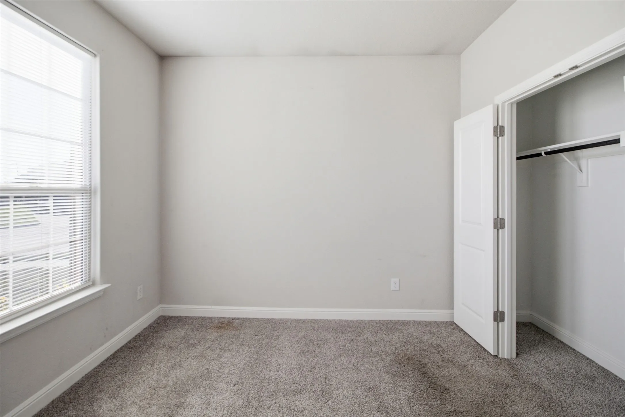 Bright bedroom with abundant natural light from large window, neutral wall finishes, neutral-toned carpeting, and a spacious walk-in closet with built-in rod and shelving