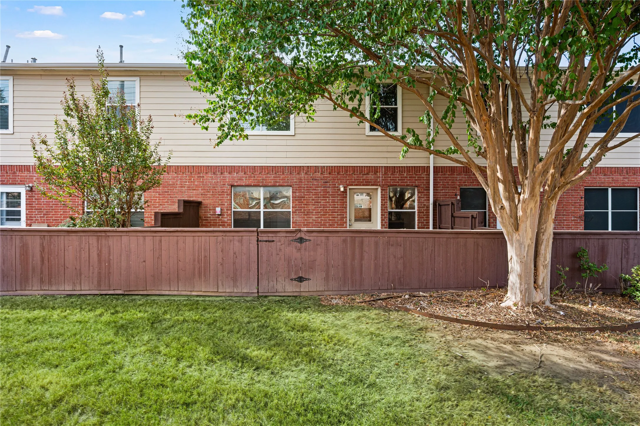 Expansive green lawn with a mature tree