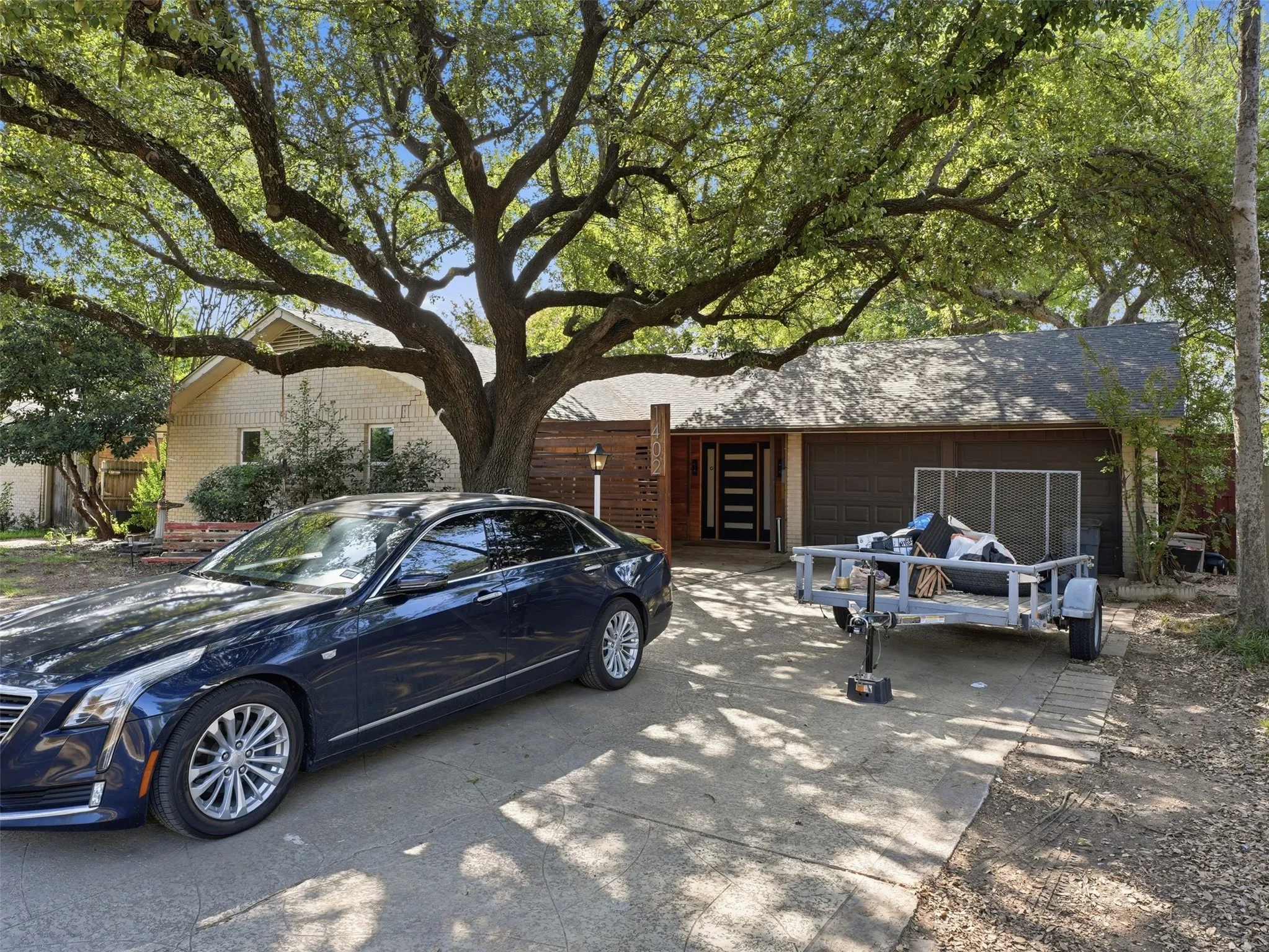 Mature tree canopy providing extensive shade