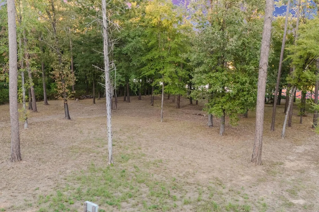 Improved Land For Sale in Camp County , TBD Private Road 52416 Road, Leesburg, Texas 75451, 0, 0, Garage spaces, 0 Sqft, built in 2024, mls#21409868, Real Estate Agent in Leesburg, Homes For Sale in Camp county, Homes For Sale in Leesburg, Realtor in Leesburg Texas, Real Estate Brokerage Independent Realty Texas, Luminita Cordes Realtor