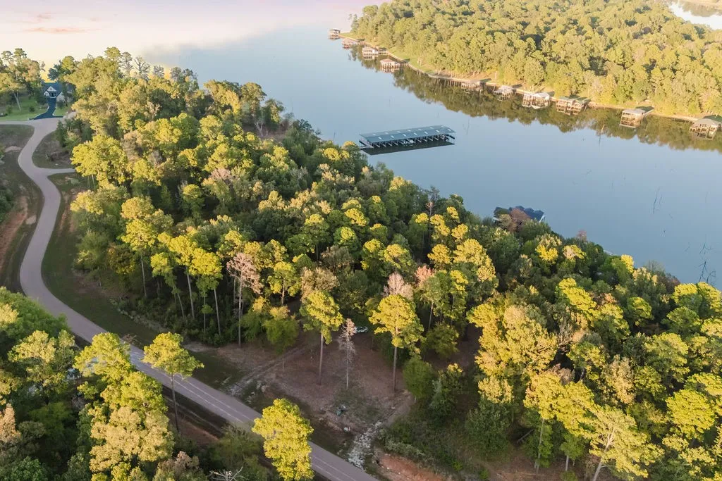 Wooded acreage with a winding paved road and lake frontage
