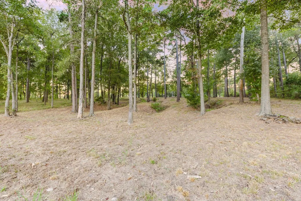 Improved Land For Sale in Camp County , TBD Private Road 52416 Road, Leesburg, Texas 75451, 0, 0, Garage spaces, 0 Sqft, built in 2024, mls#21409868, Real Estate Agent in Leesburg, Homes For Sale in Camp county, Homes For Sale in Leesburg, Realtor in Leesburg Texas, Real Estate Brokerage Independent Realty Texas, Luminita Cordes Realtor